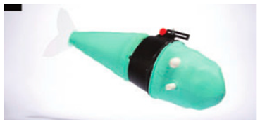 Biomimetics 08 00318 i010