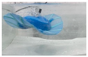 Biomimetics 08 00318 i017