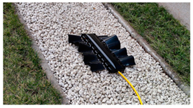 Biomimetics 08 00318 i021