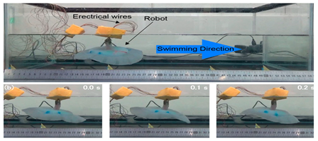 Biomimetics 08 00318 i039