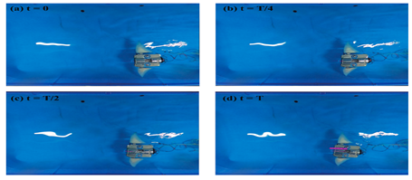 Biomimetics 08 00318 i040