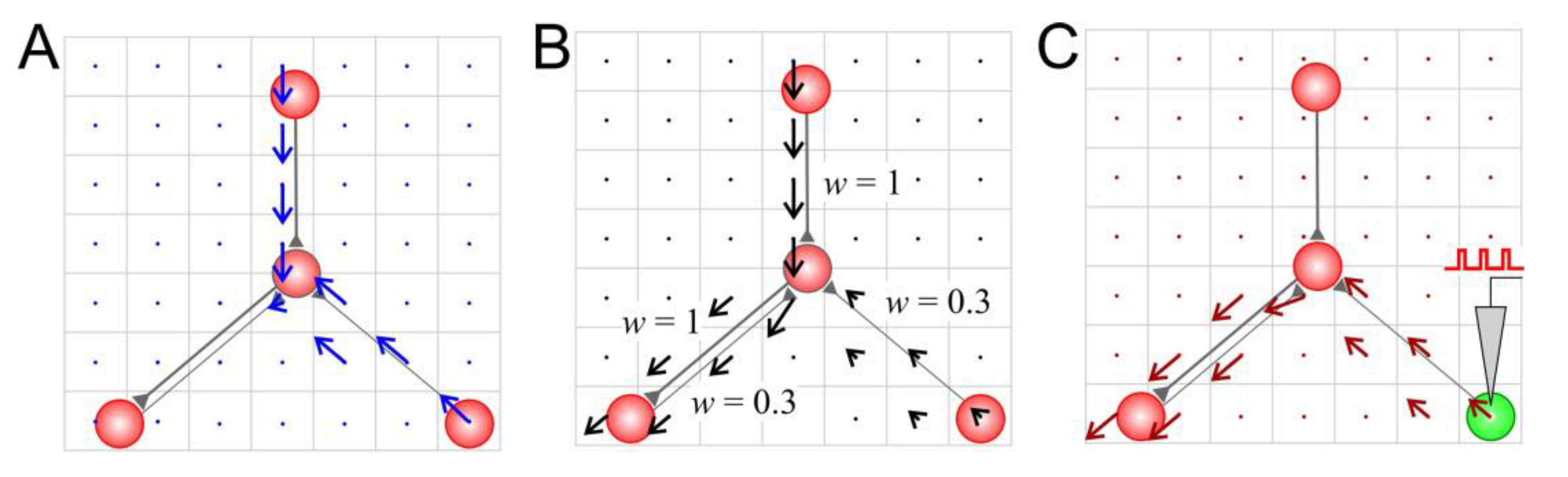 Biomimetics 08 00320 g002 Biomimetics 08 00320 g002