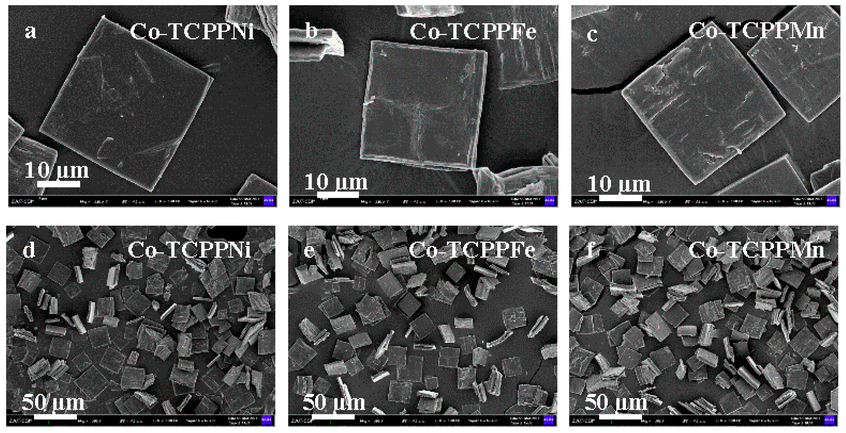 Biomimetics 08 00325 g004 Biomimetics 08 00325 g004