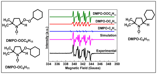 その他 June Amazon.co.jp: JUNE (LX009): ミュージック