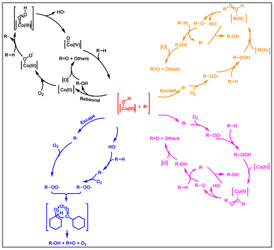 Efficient and Selective Oxygenation of Cycloalkanes and