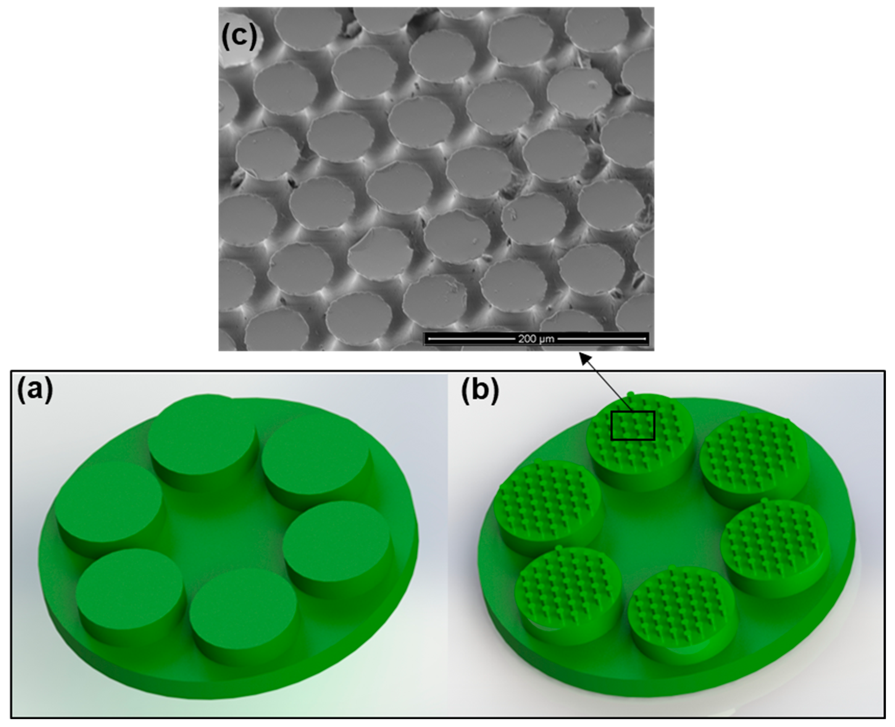 Biomimetics 08 00327 g002 Biomimetics 08 00327 g002