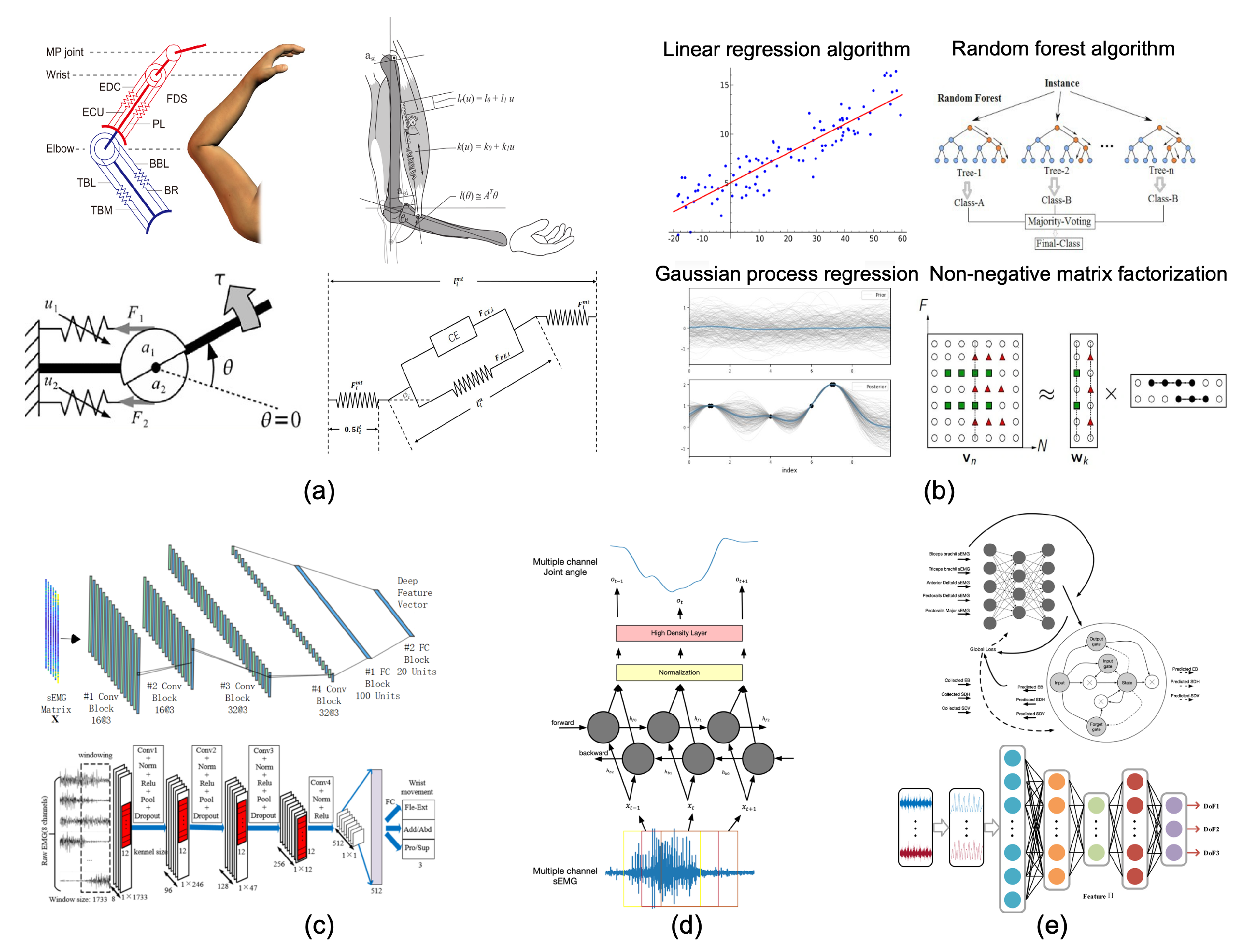 Biomimetics 08 00328 g002