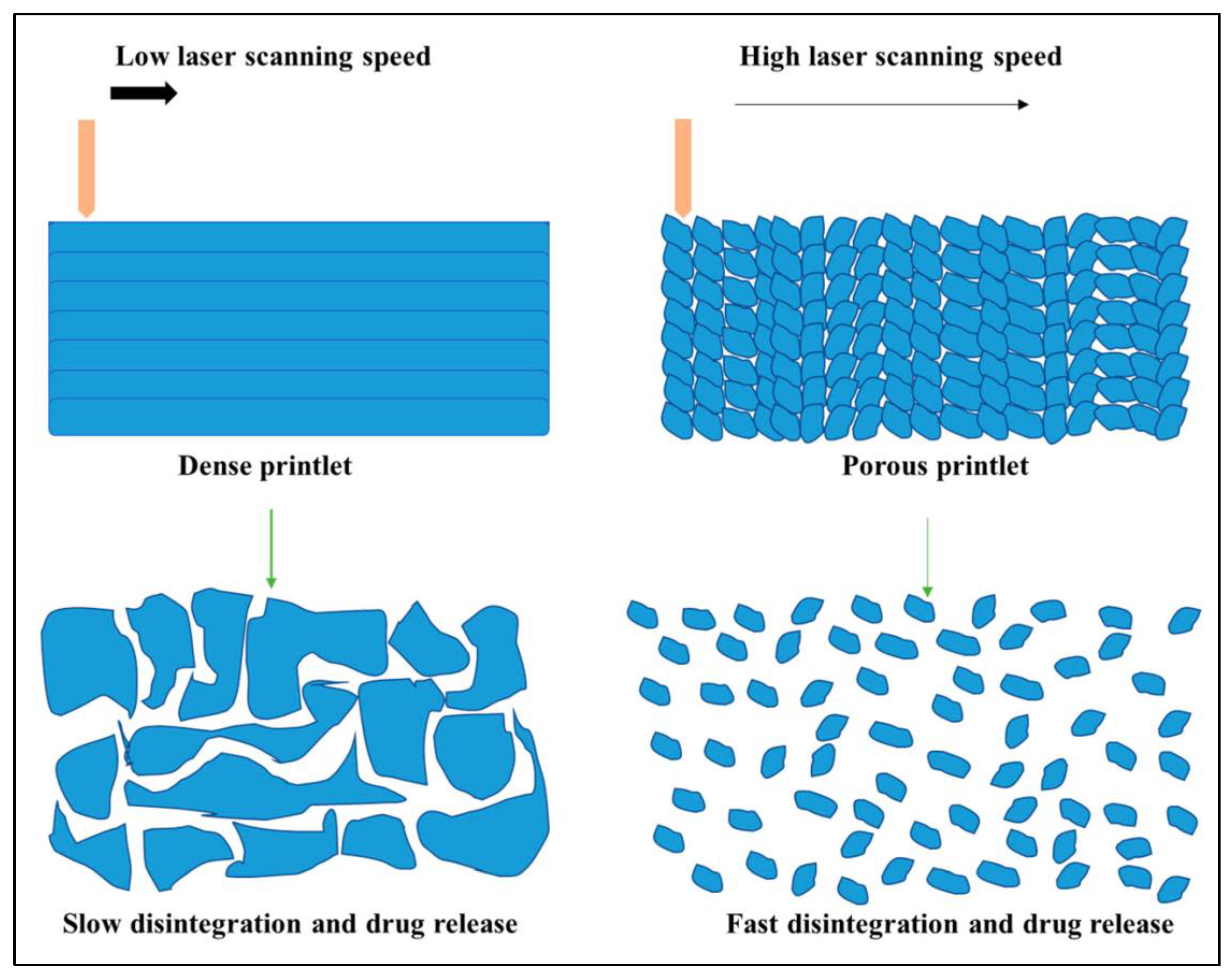 Biomimetics 08 00330 g005