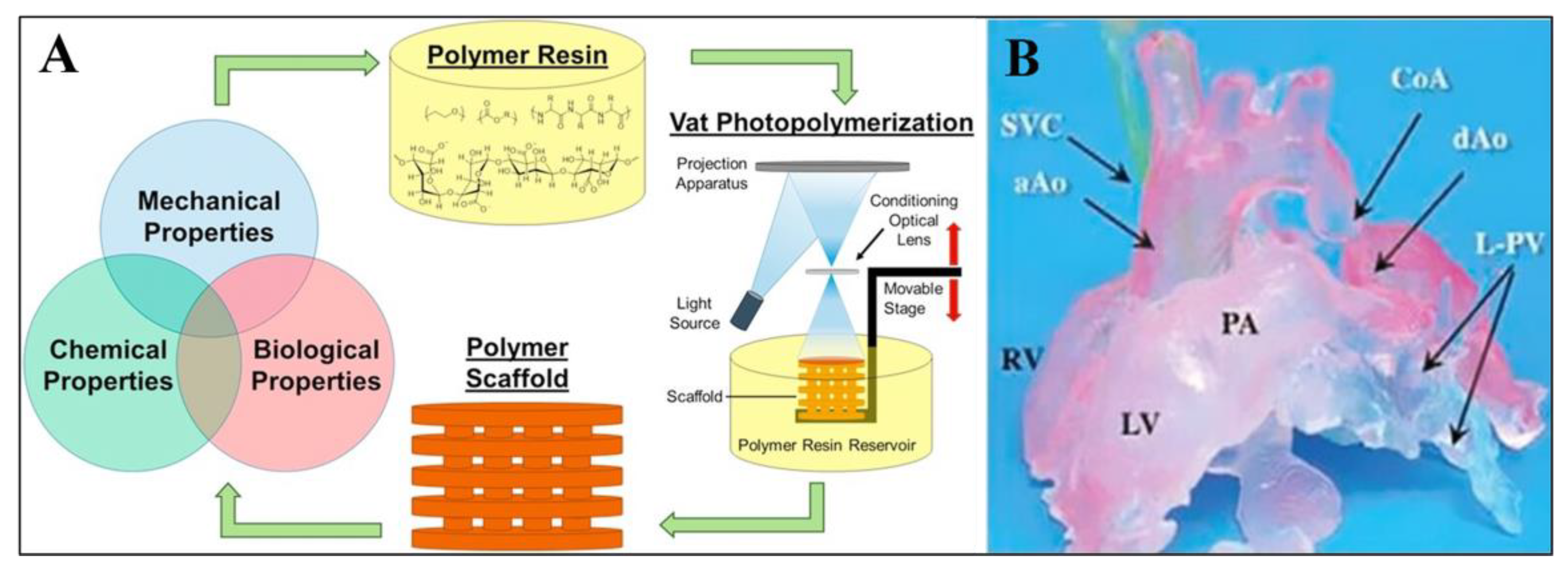 Biomimetics 08 00330 g006
