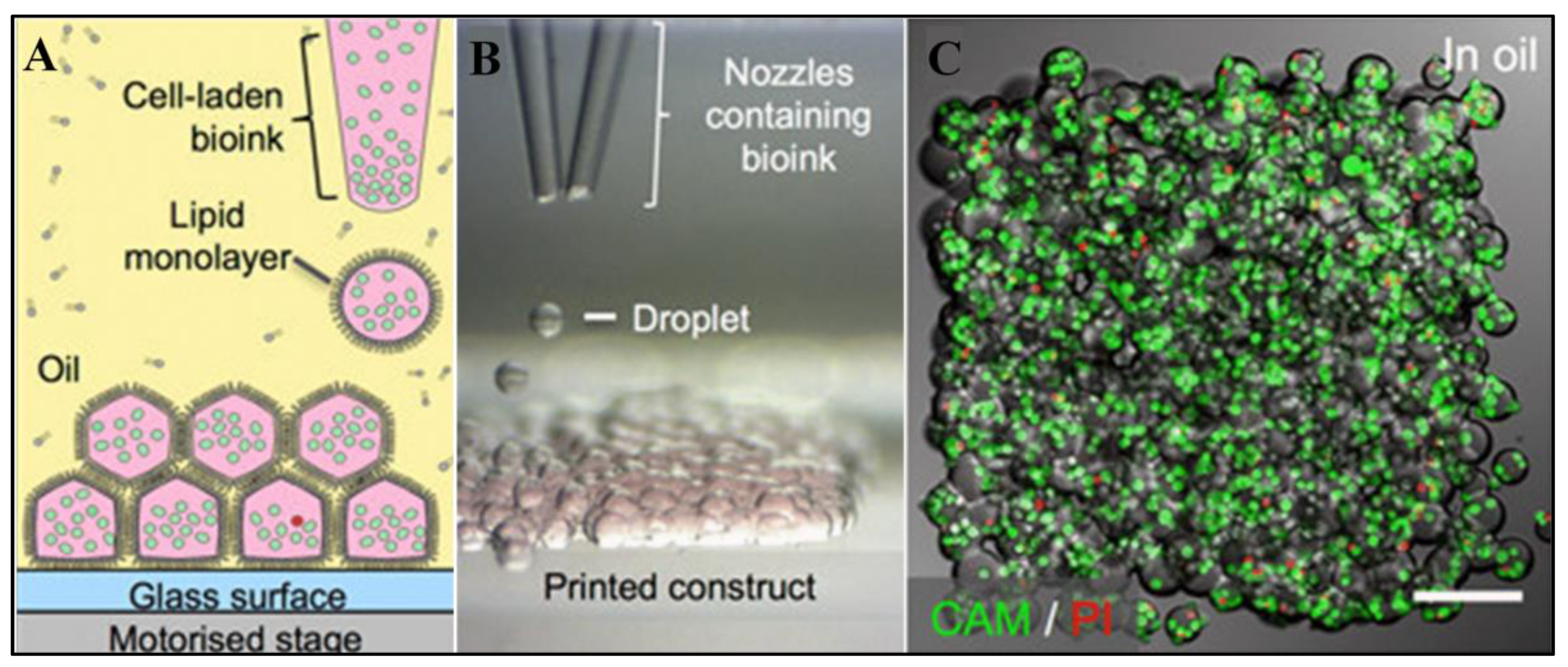 Biomimetics 08 00330 g007