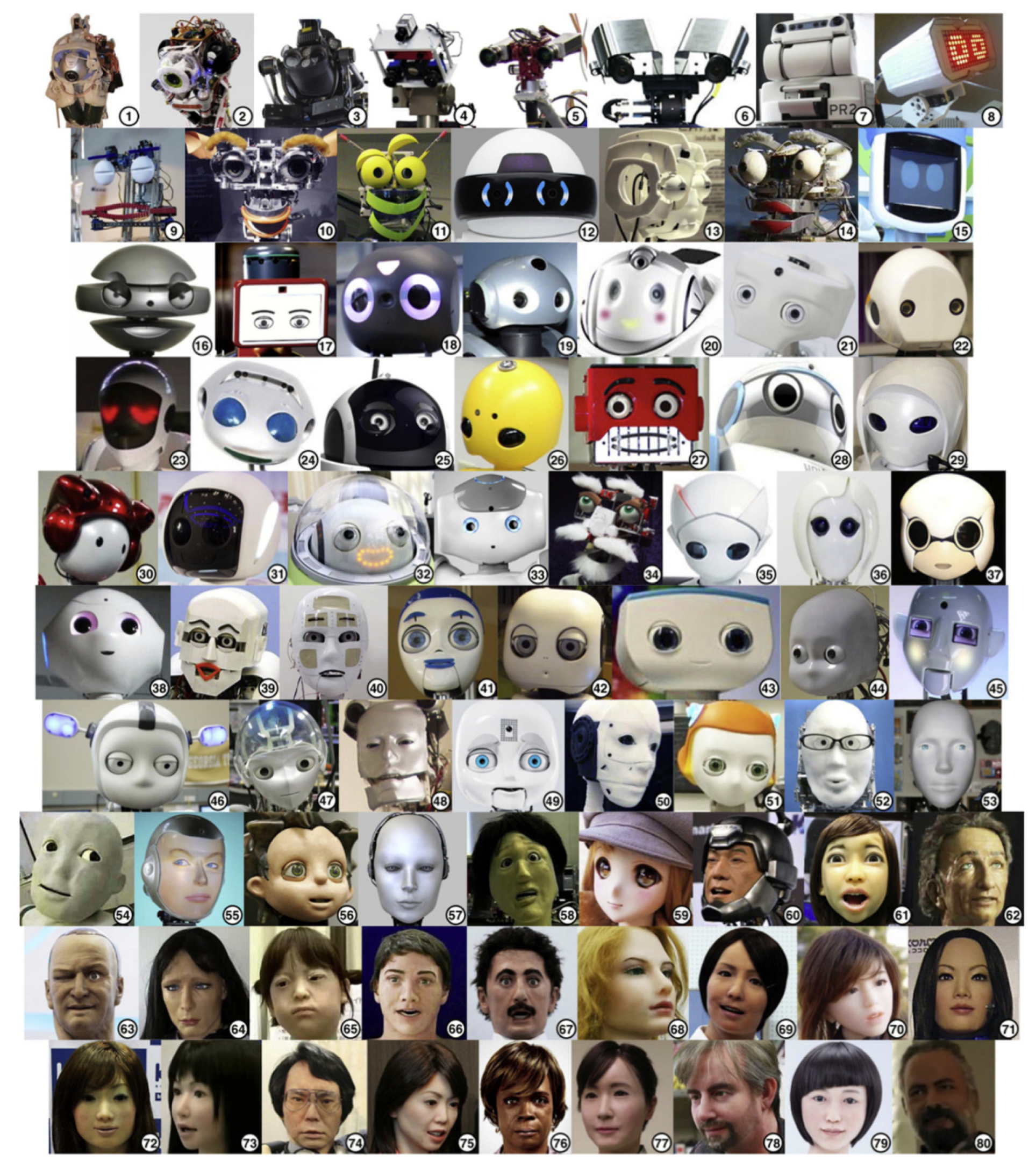 Biomimetics 08 00335 g0a1 Biomimetics 08 00335 g0a1