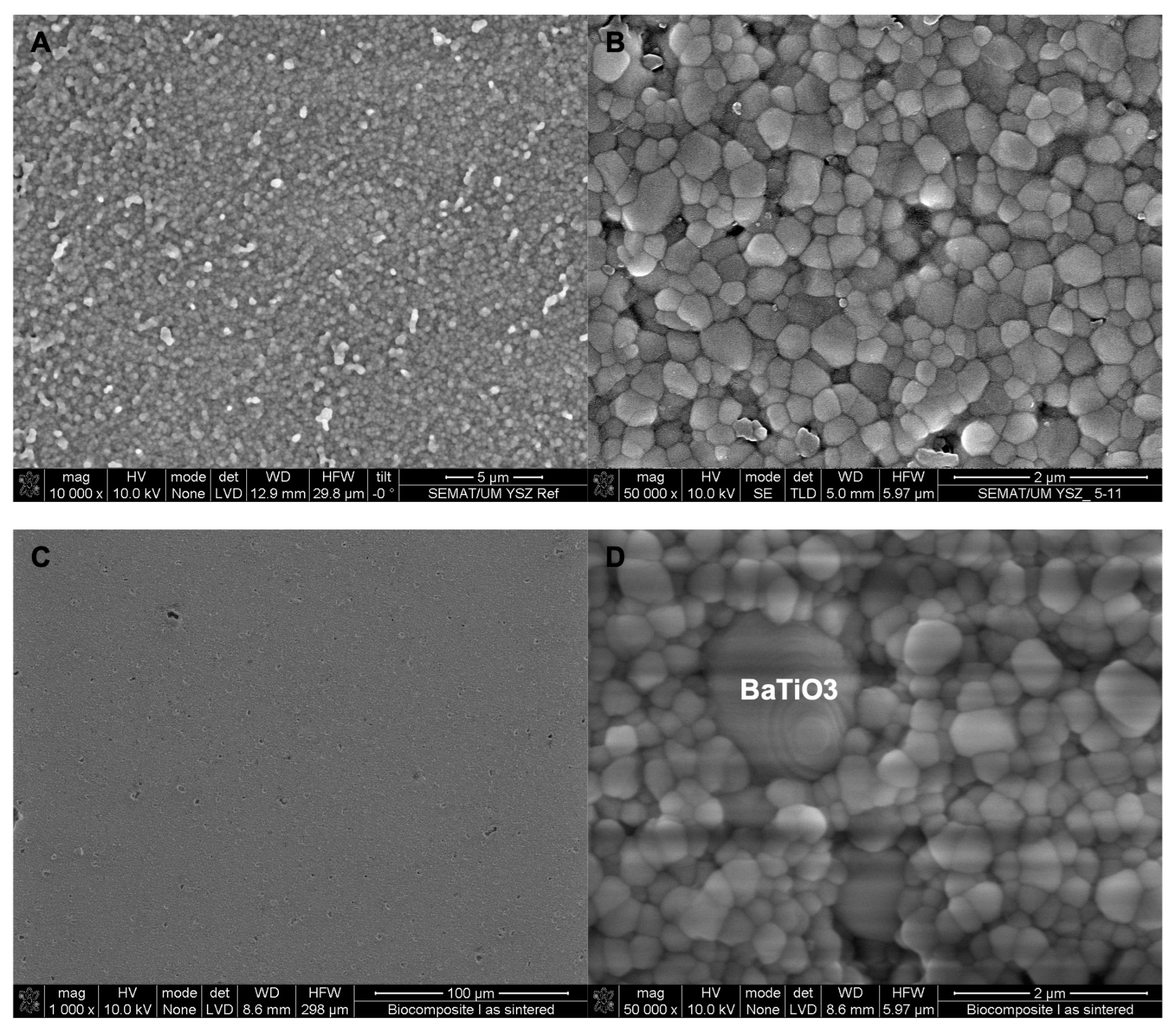 Biomimetics 08 00338 g001