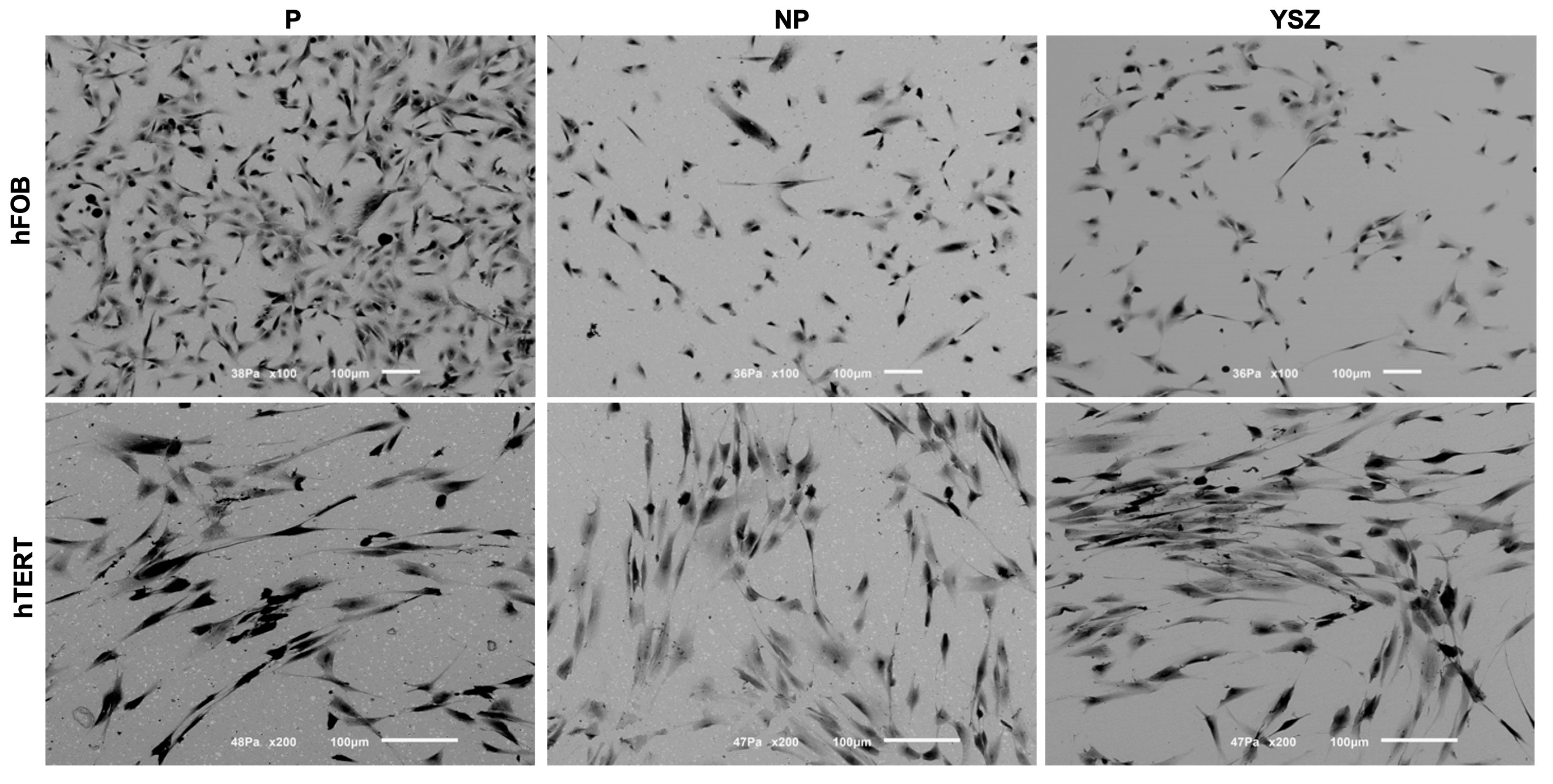 Biomimetics 08 00338 g003