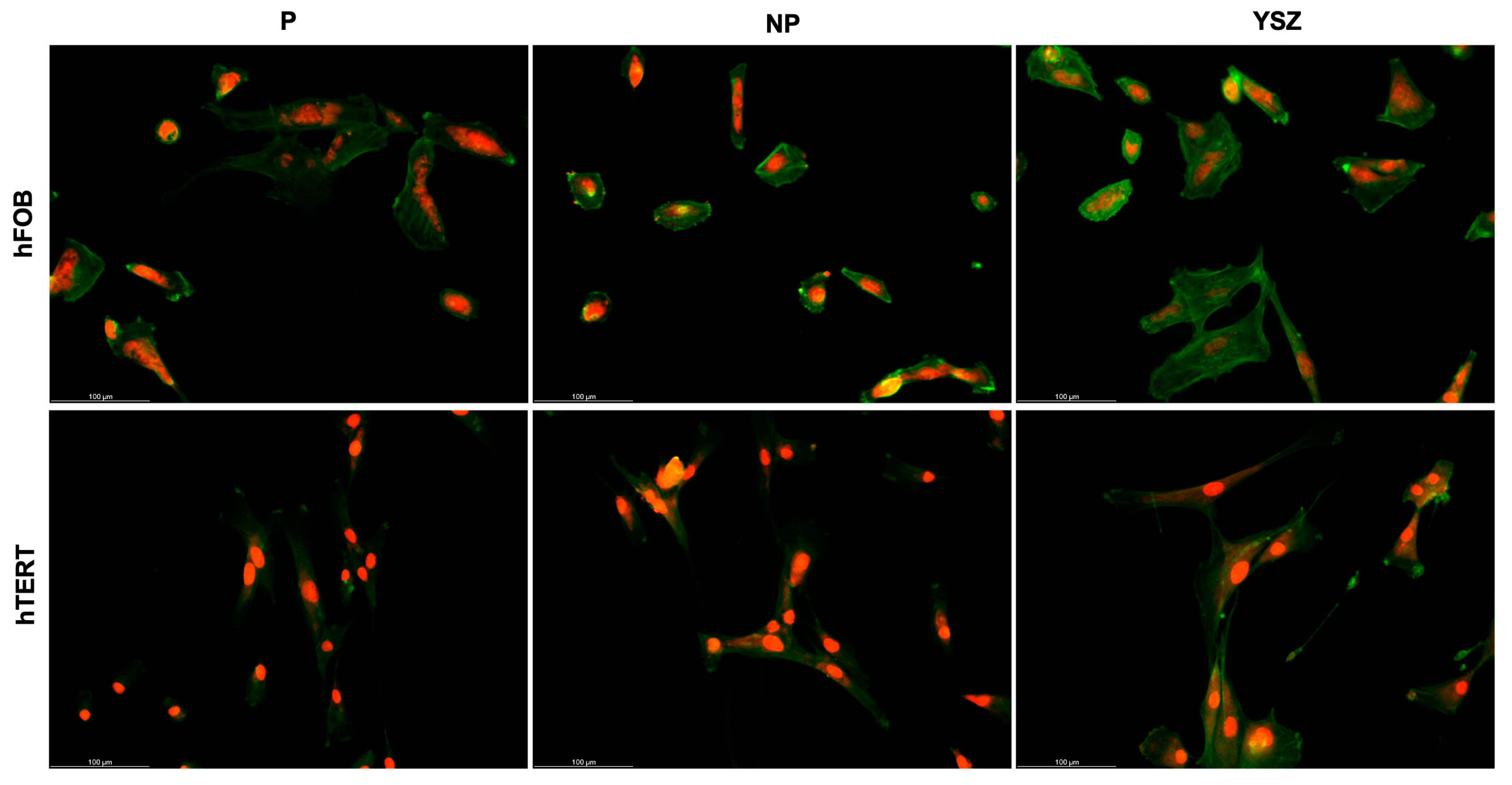 Biomimetics 08 00338 g004