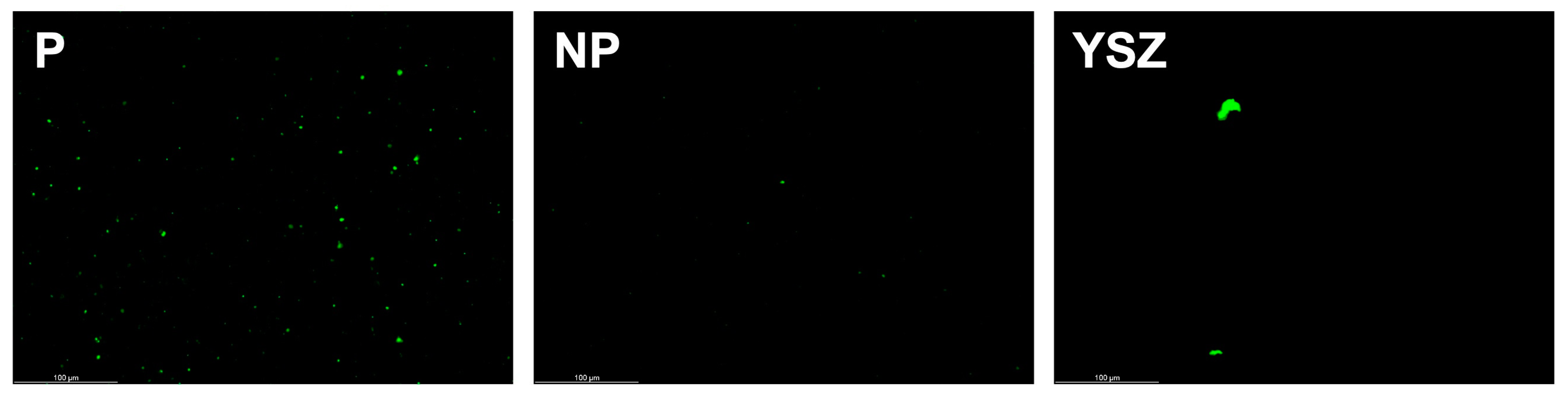 Biomimetics 08 00338 g009
