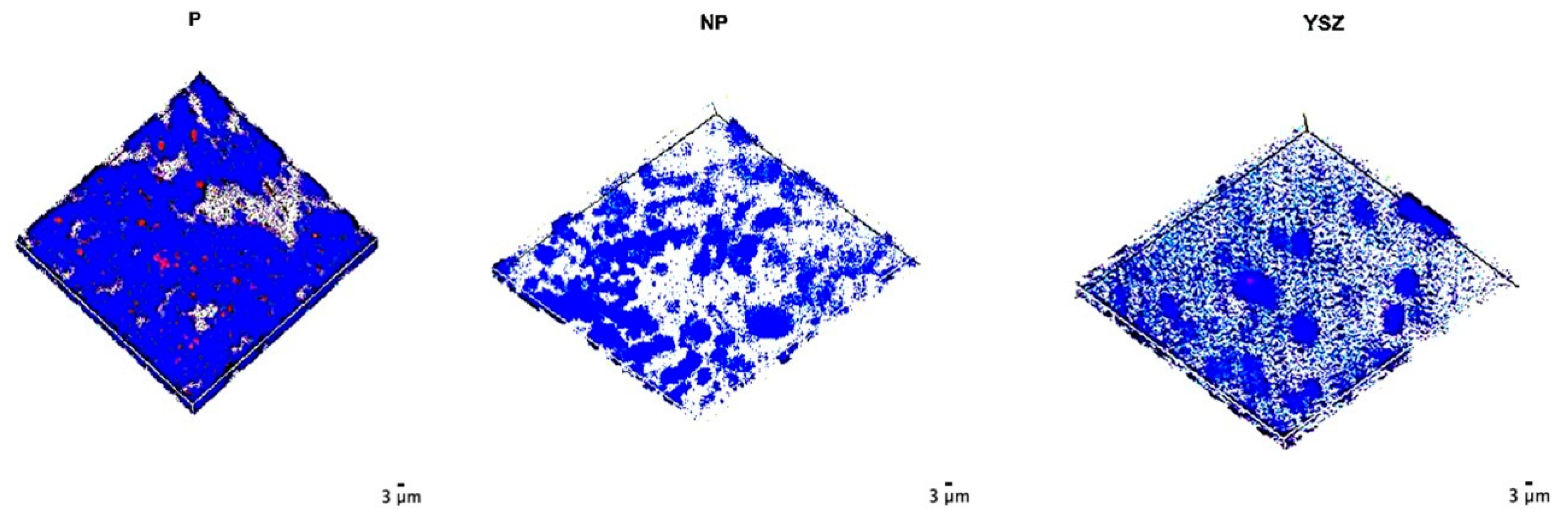 Biomimetics 08 00338 g013