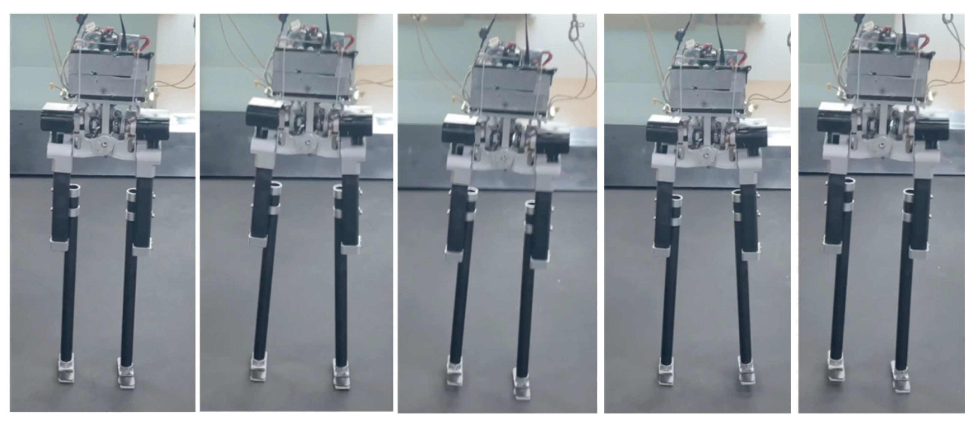 Biomimetics 08 00340 g011 Biomimetics 08 00340 g011