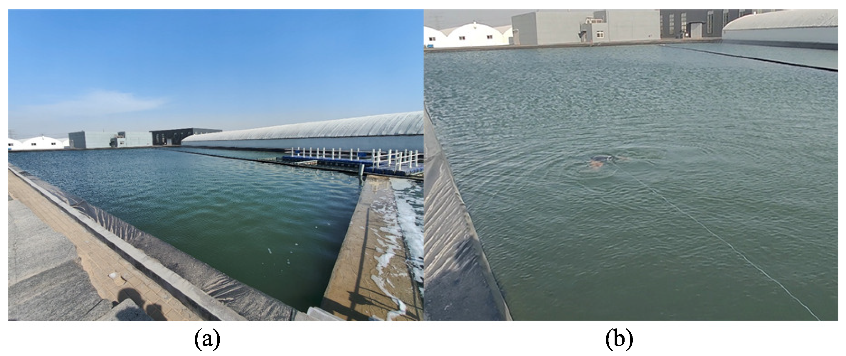 Biomimetics 08 00345 g016