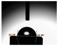 Biomimetics 08 00347 i002