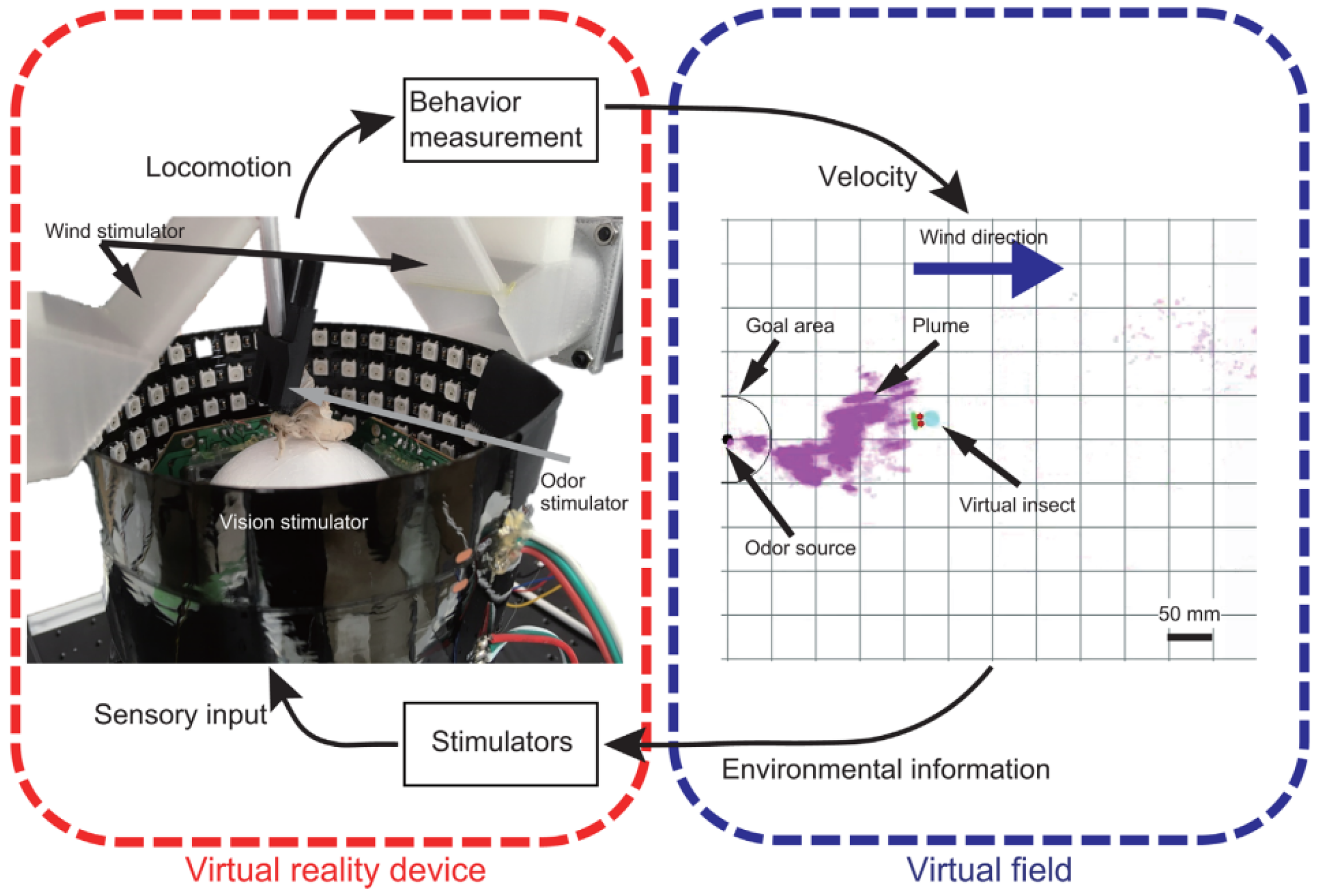 Biomimetics 08 00350 g012