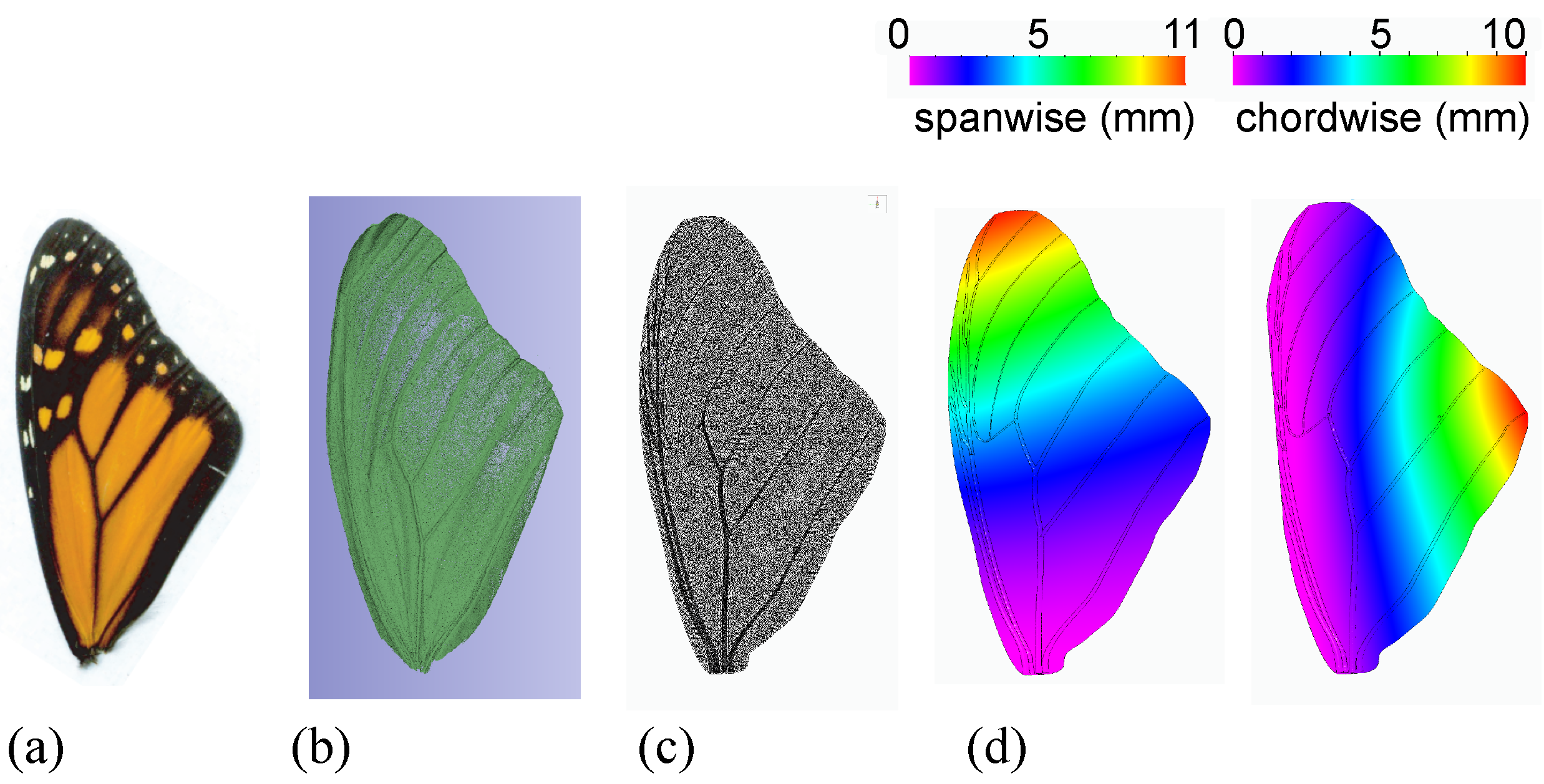 Biomimetics 08 00352 g003
