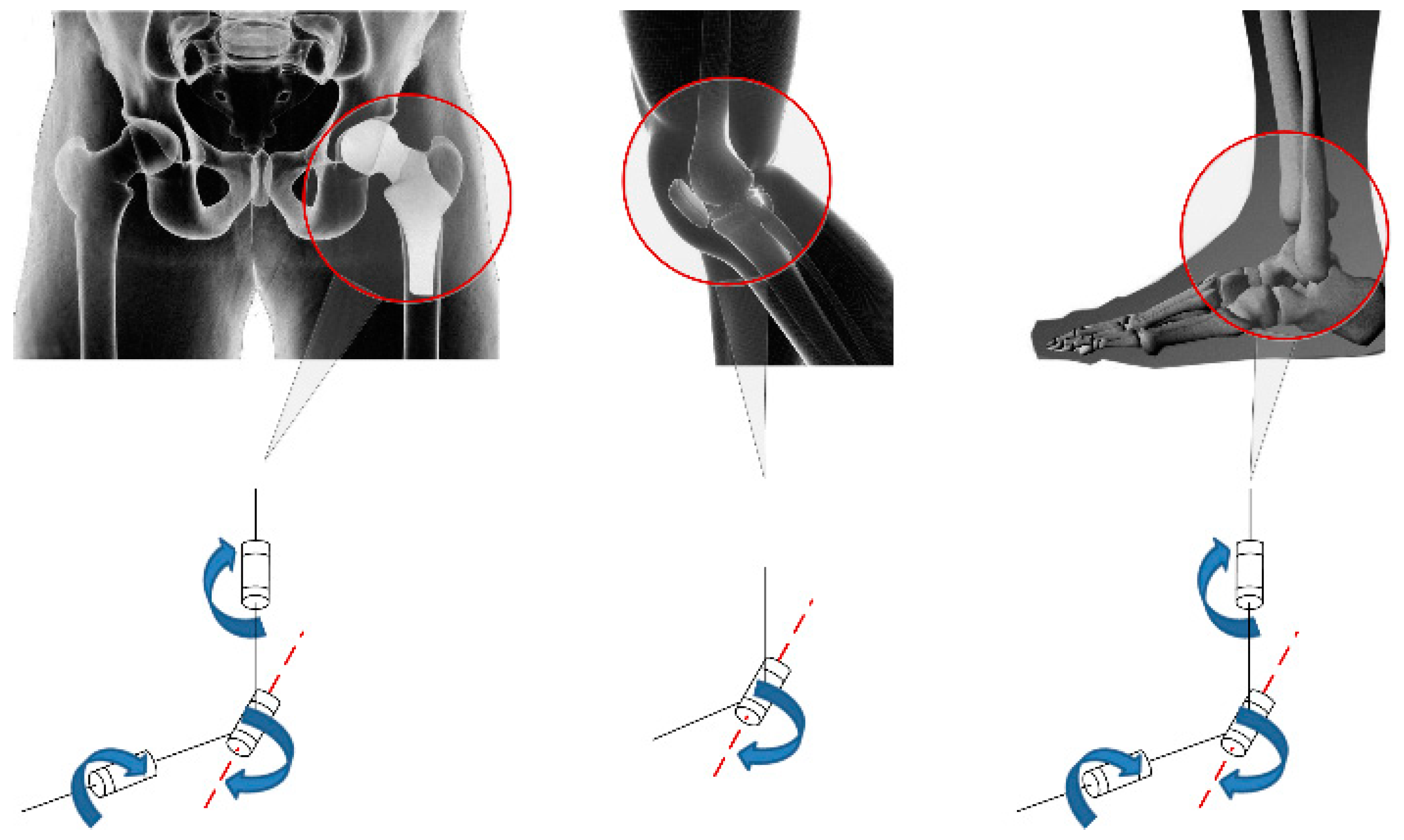 Biomimetics 08 00353 g002