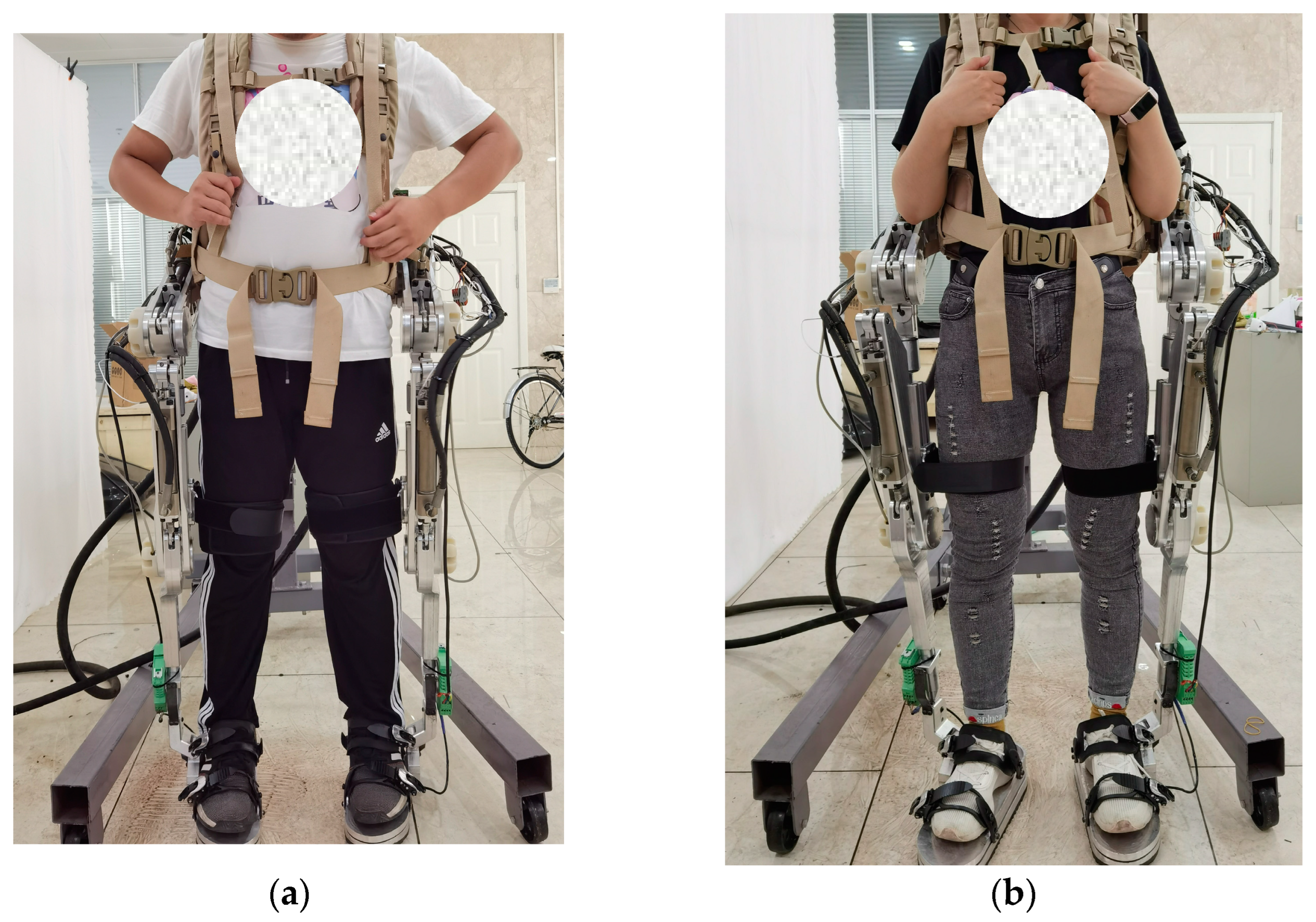 Biomimetics 08 00353 g017