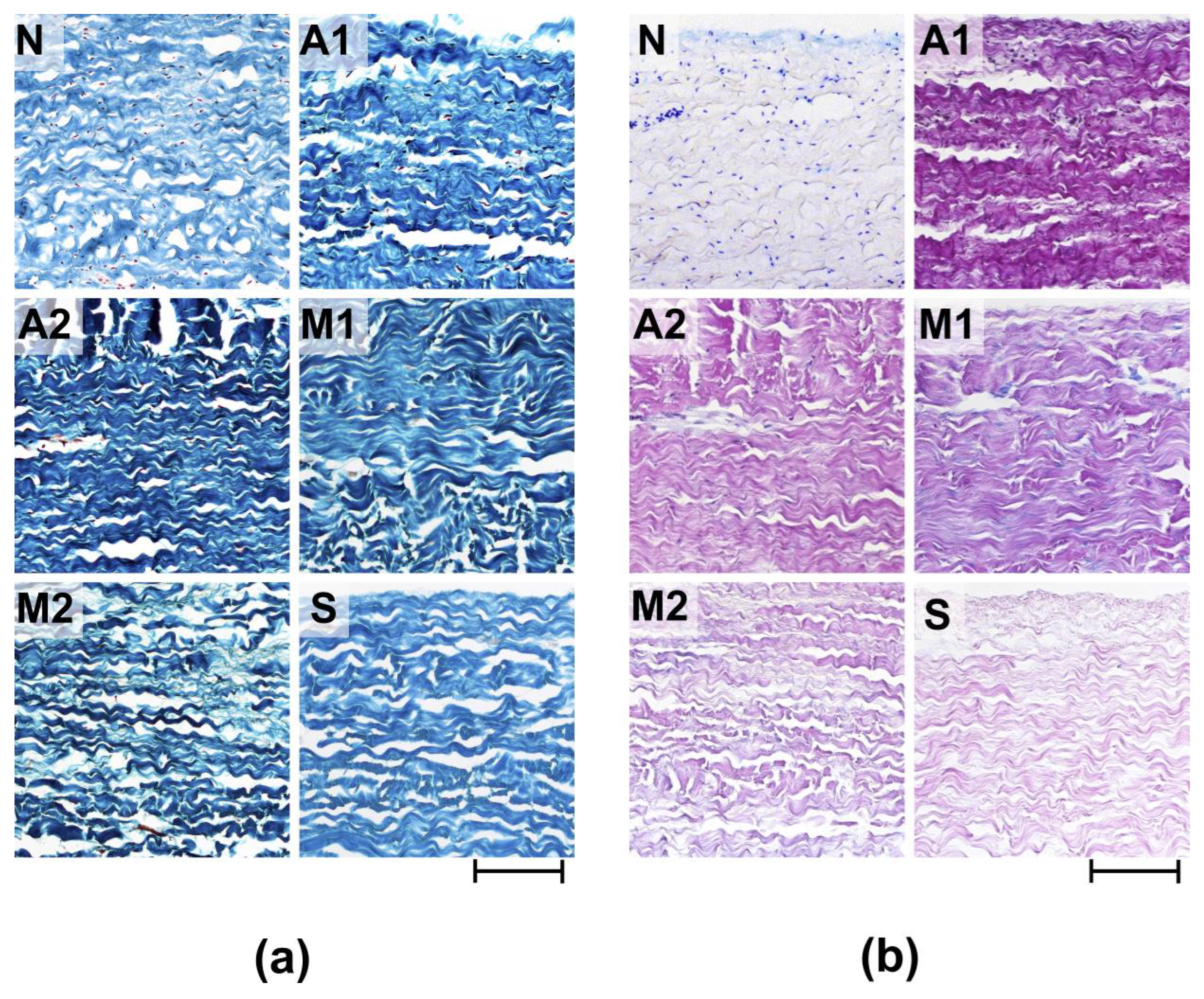 Biomimetics 08 00357 g001