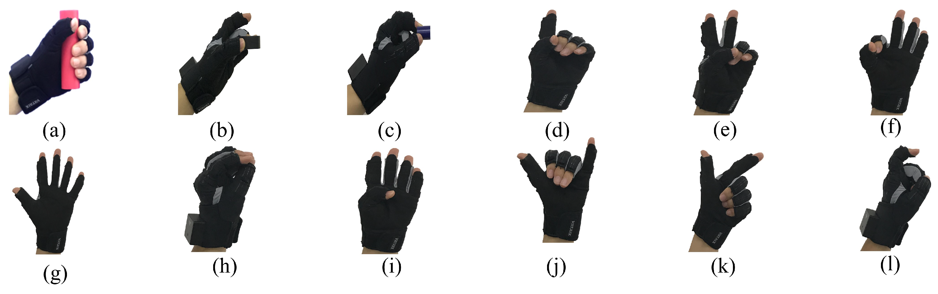 Biomimetics 08 00358 g002