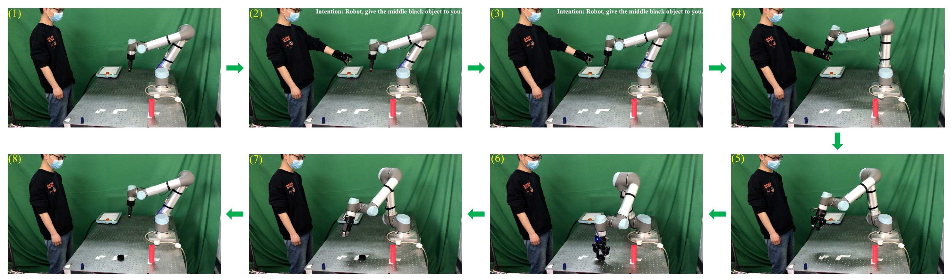 Biomimetics 08 00358 g011