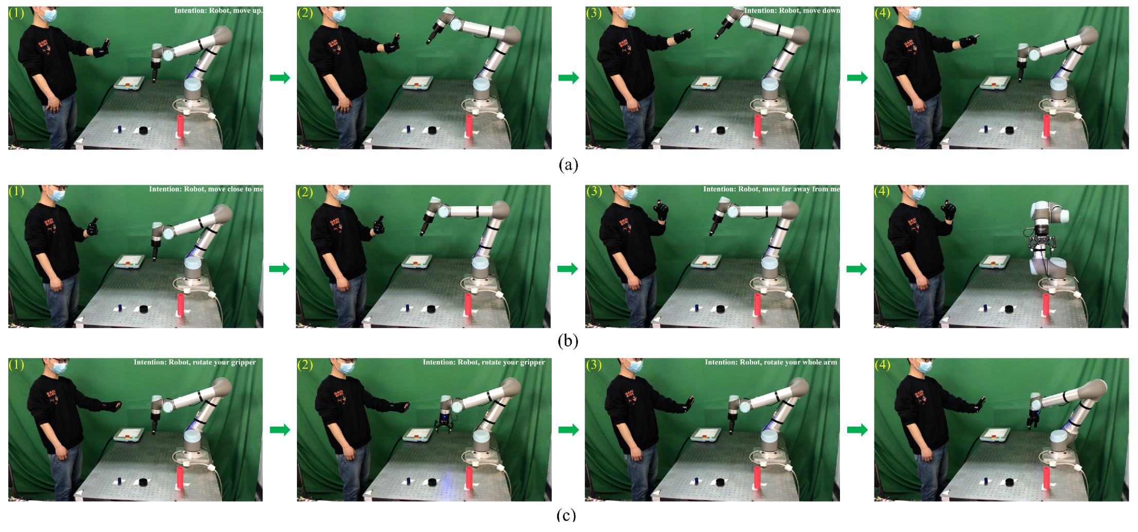 Biomimetics 08 00358 g012