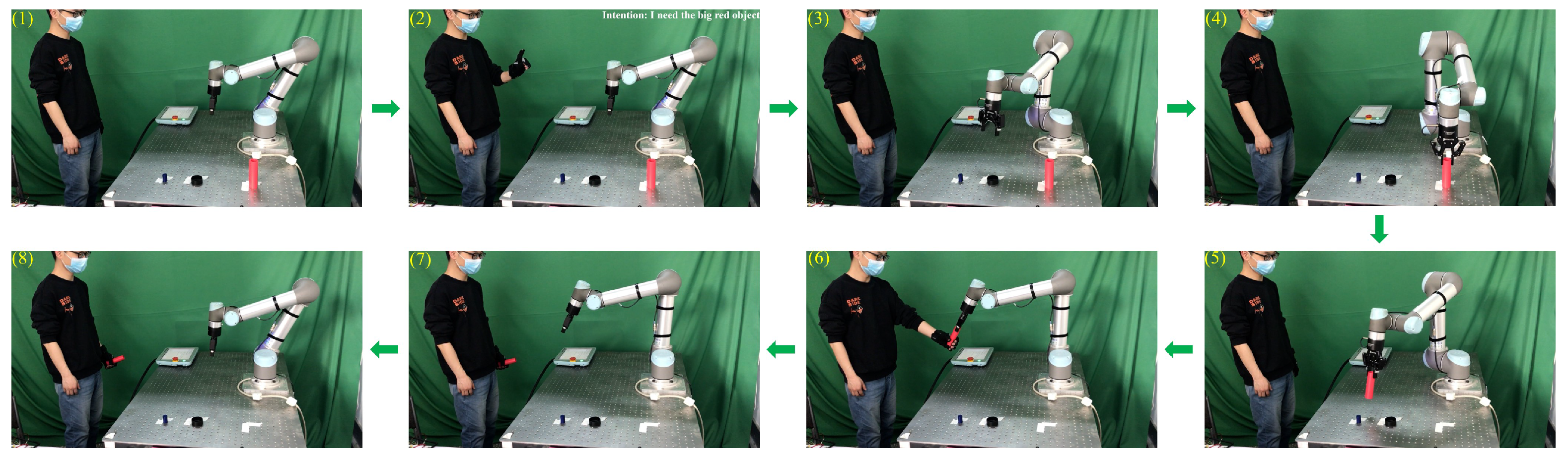 Biomimetics 08 00358 g013