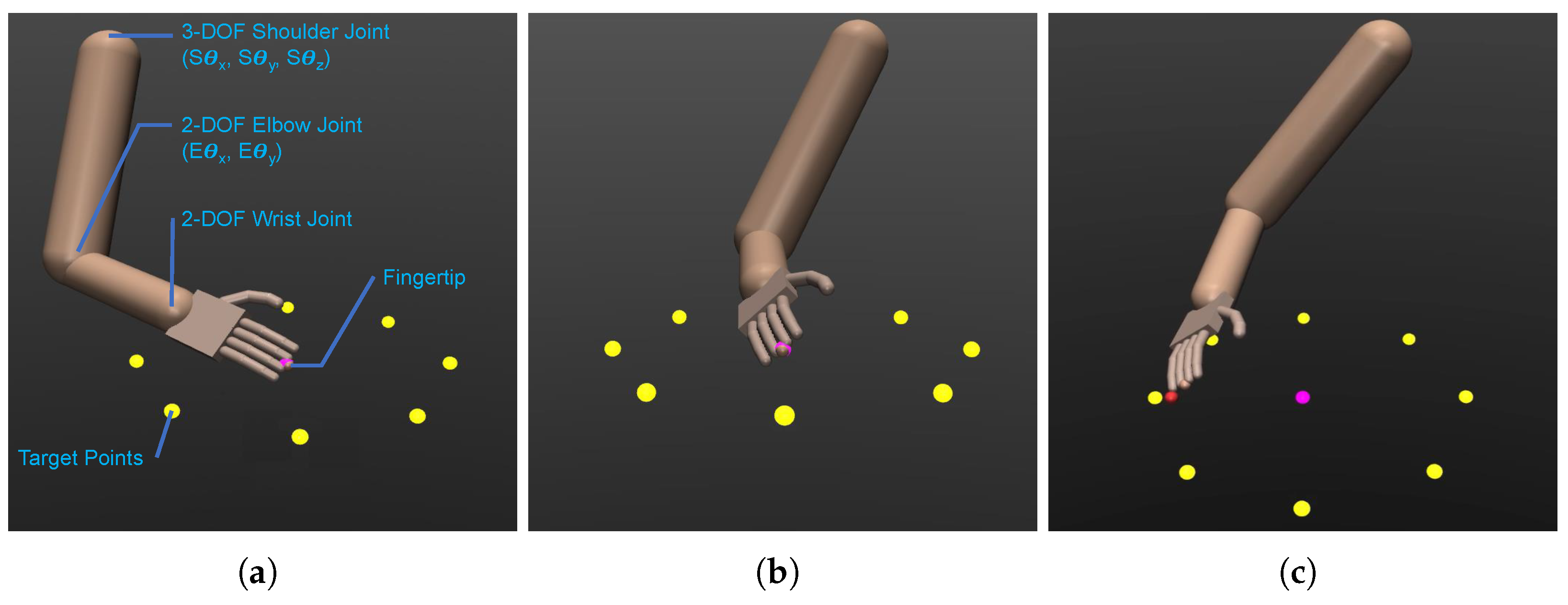 Biomimetics 08 00367 g003