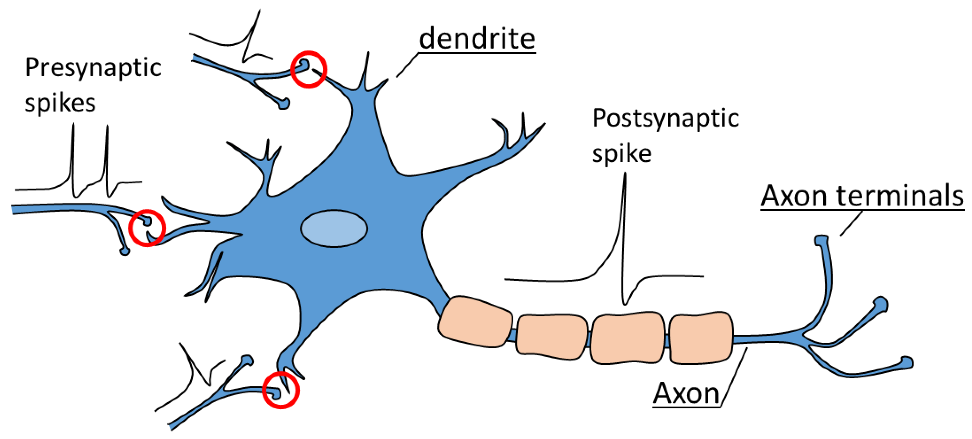 Biomimetics 08 00368 g001 Biomimetics 08 00368 g001