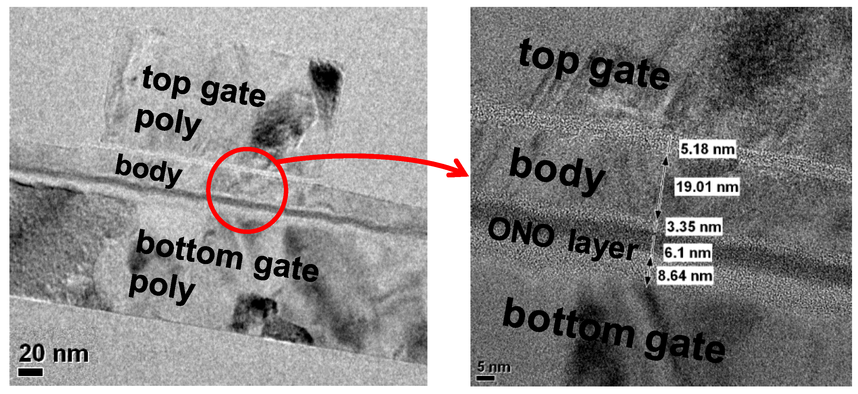 Biomimetics 08 00368 g003 Biomimetics 08 00368 g003