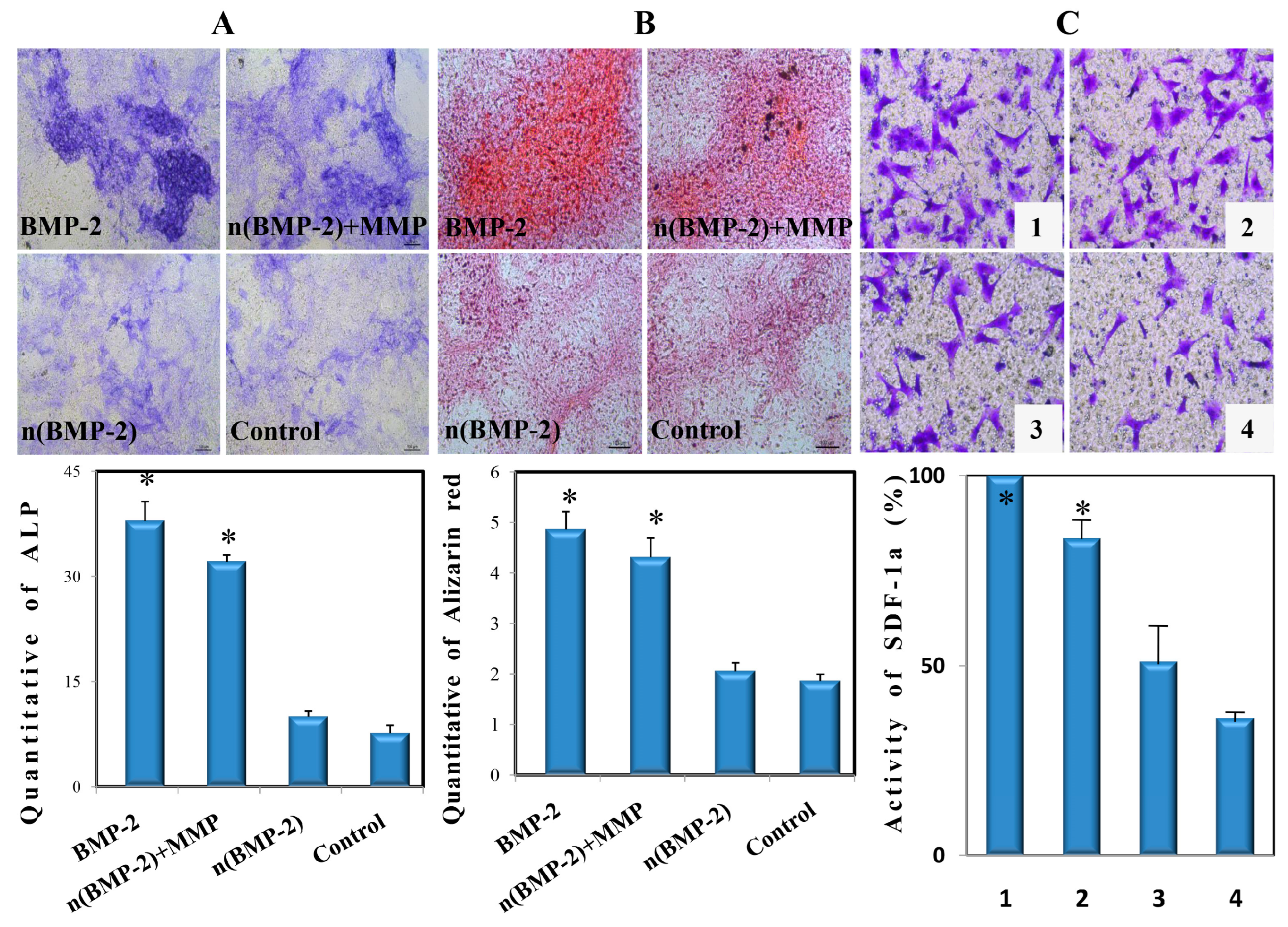 Biomimetics 08 00369 g002 550