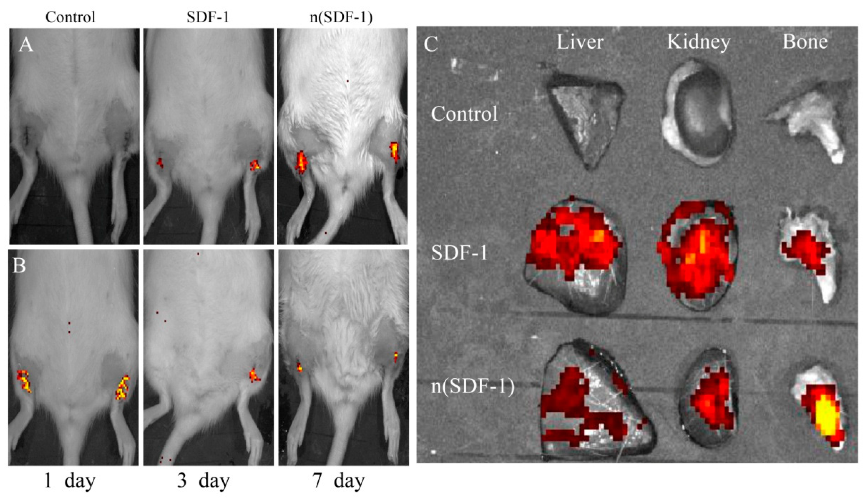 Biomimetics 08 00369 g004 550