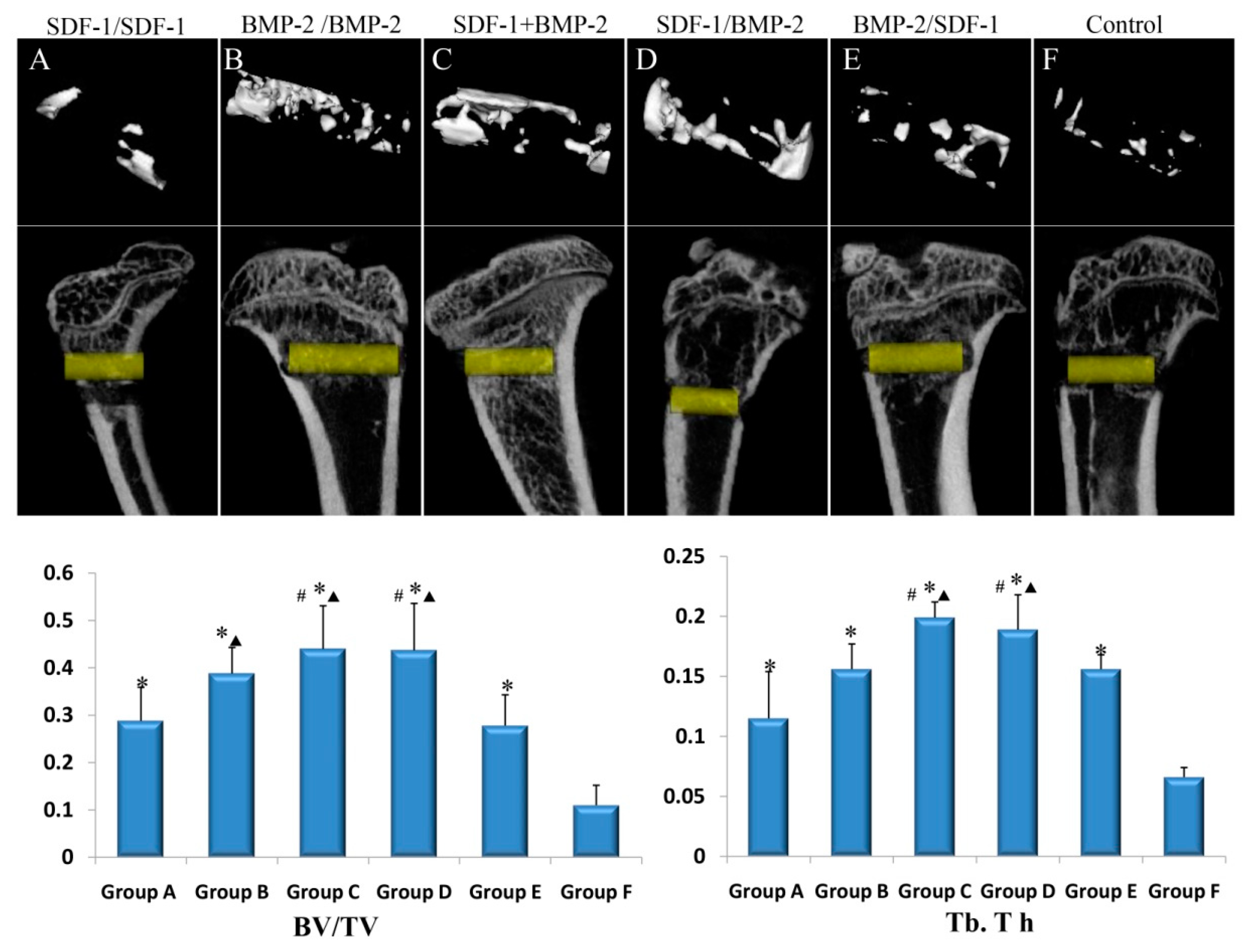 Biomimetics 08 00369 g005 550