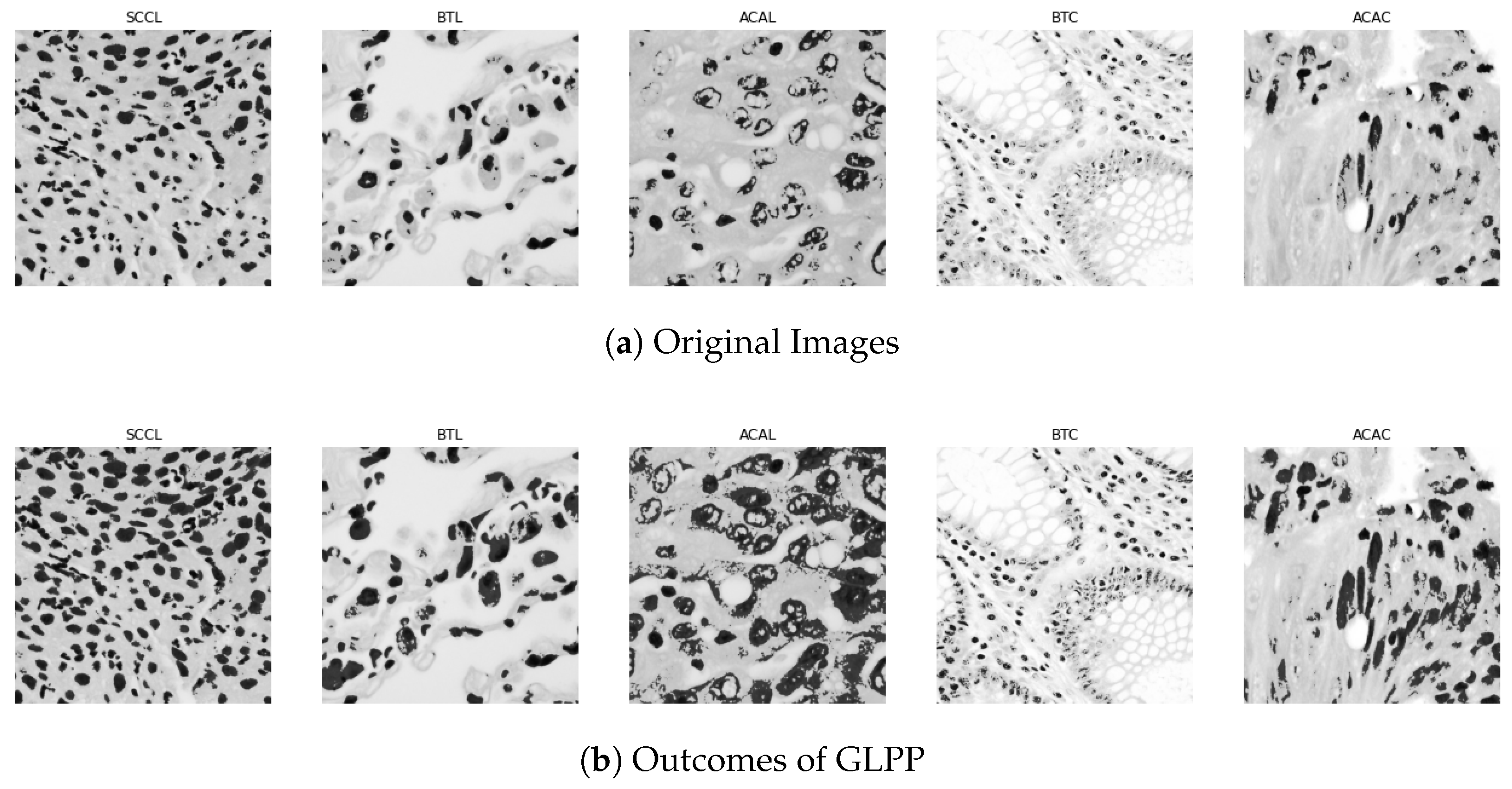 Biomimetics 08 00370 g004