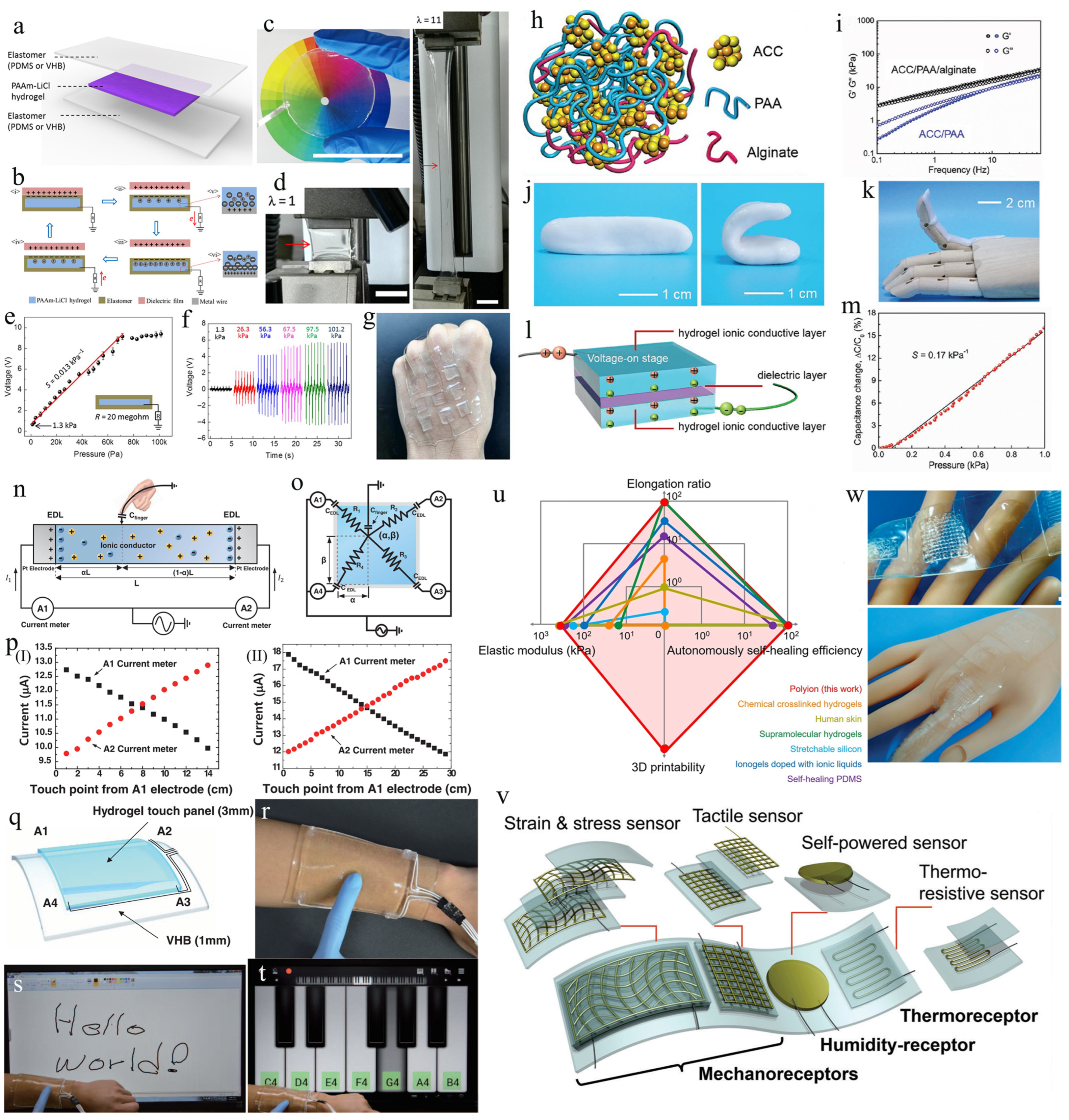 Biomimetics 08 00372 g002