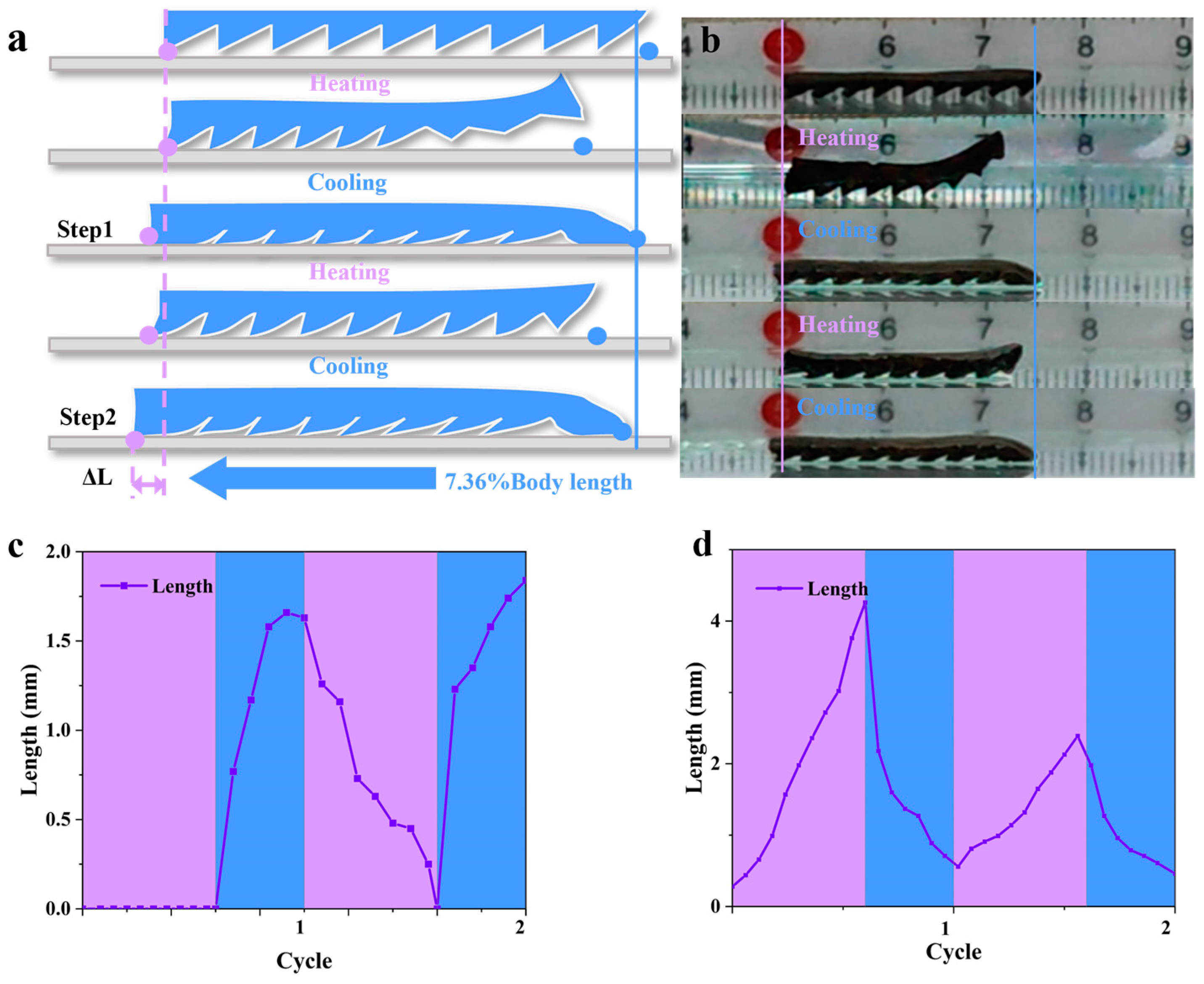 Biomimetics 08 00379 g004