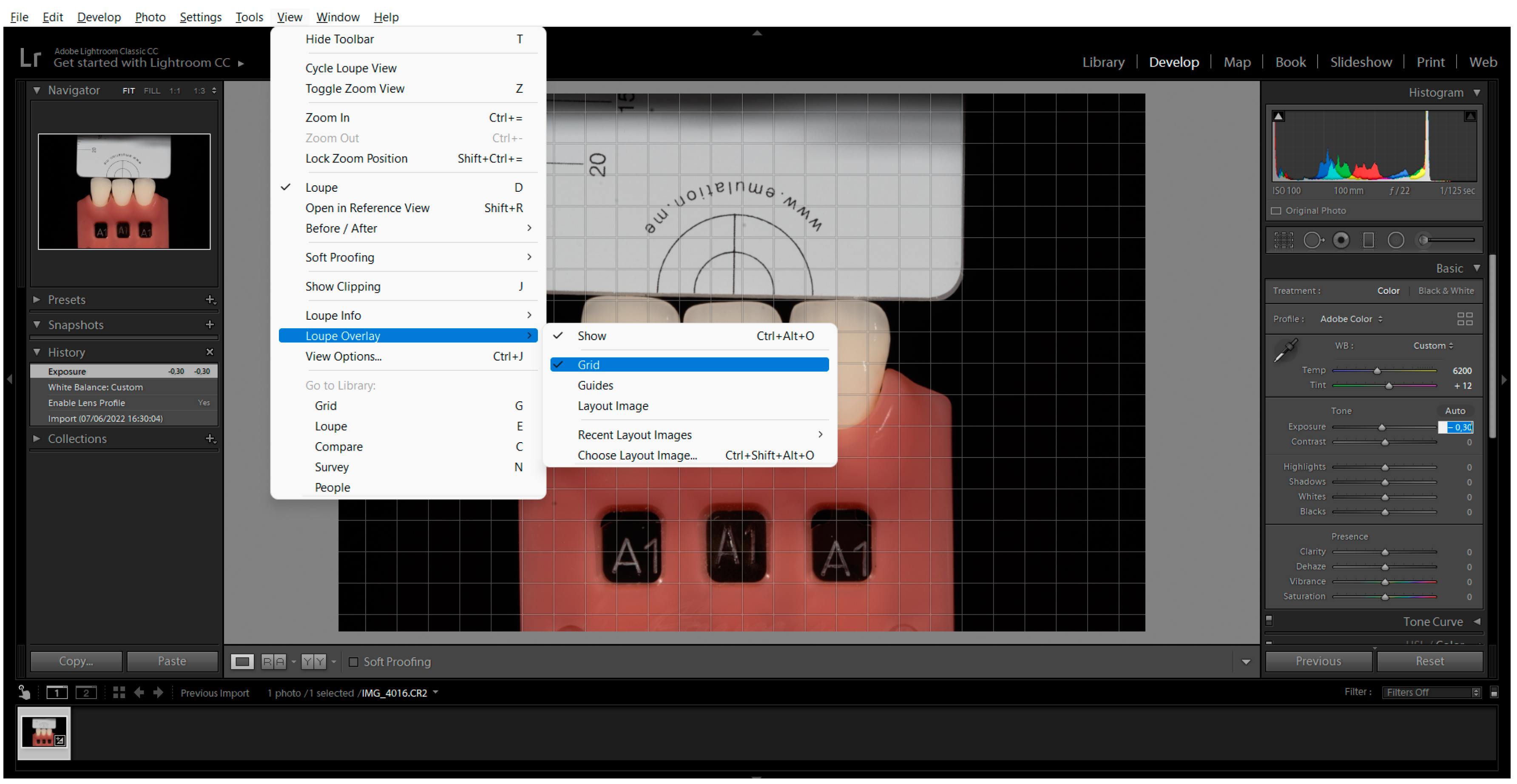 Biomimetics 08 00384 g004