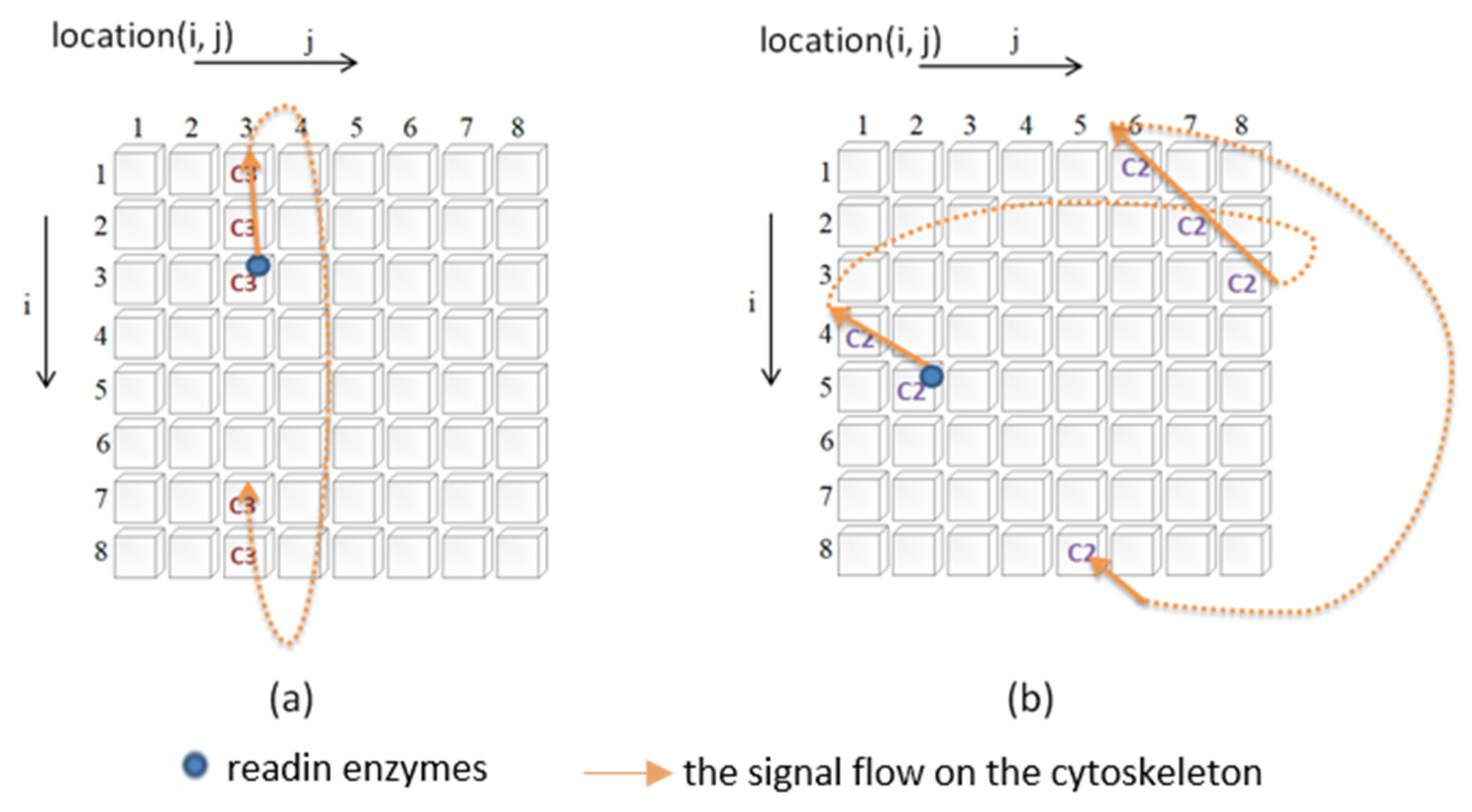 Biomimetics 08 00385 g003