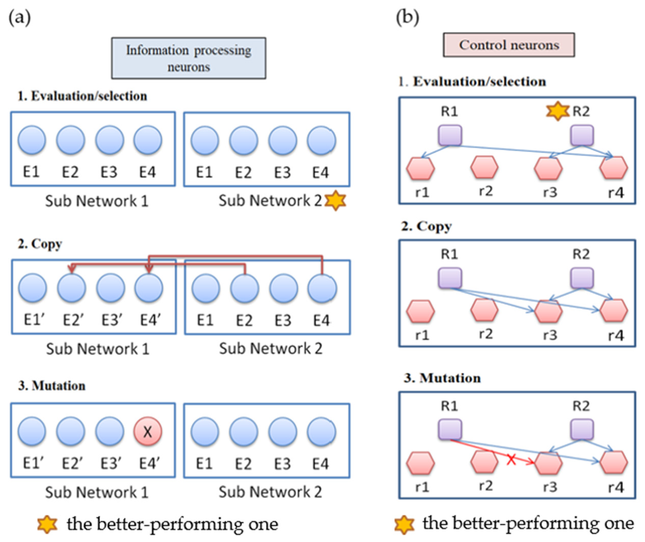 Biomimetics 08 00385 g005