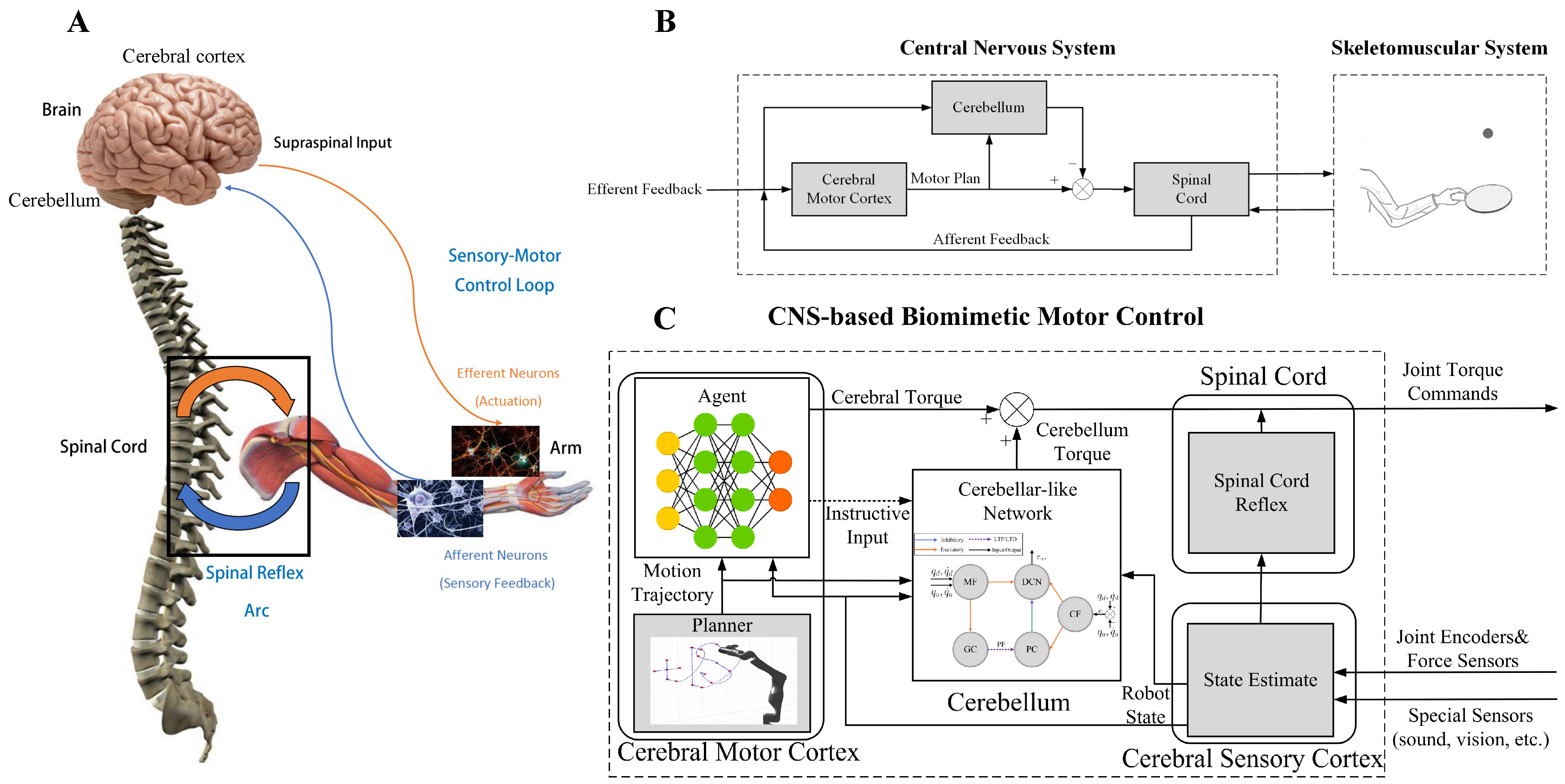 Biomimetics 08 00389 g001