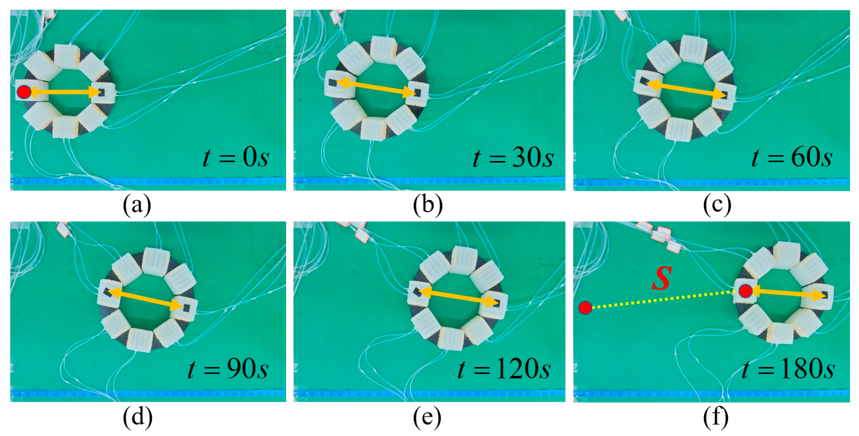 Biomimetics 08 00390 g012