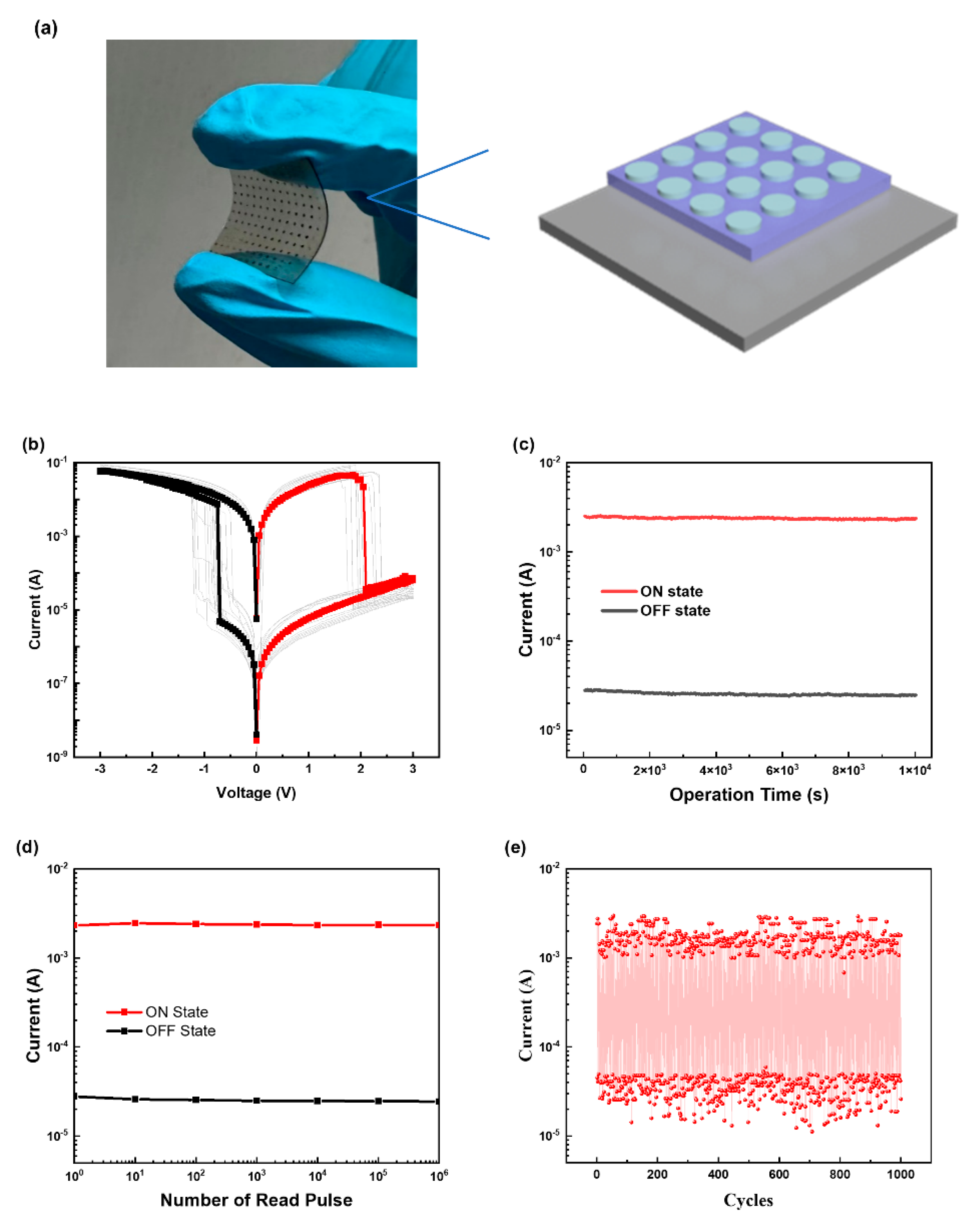 Biomimetics 08 00391 g001 Biomimetics 08 00391 g001