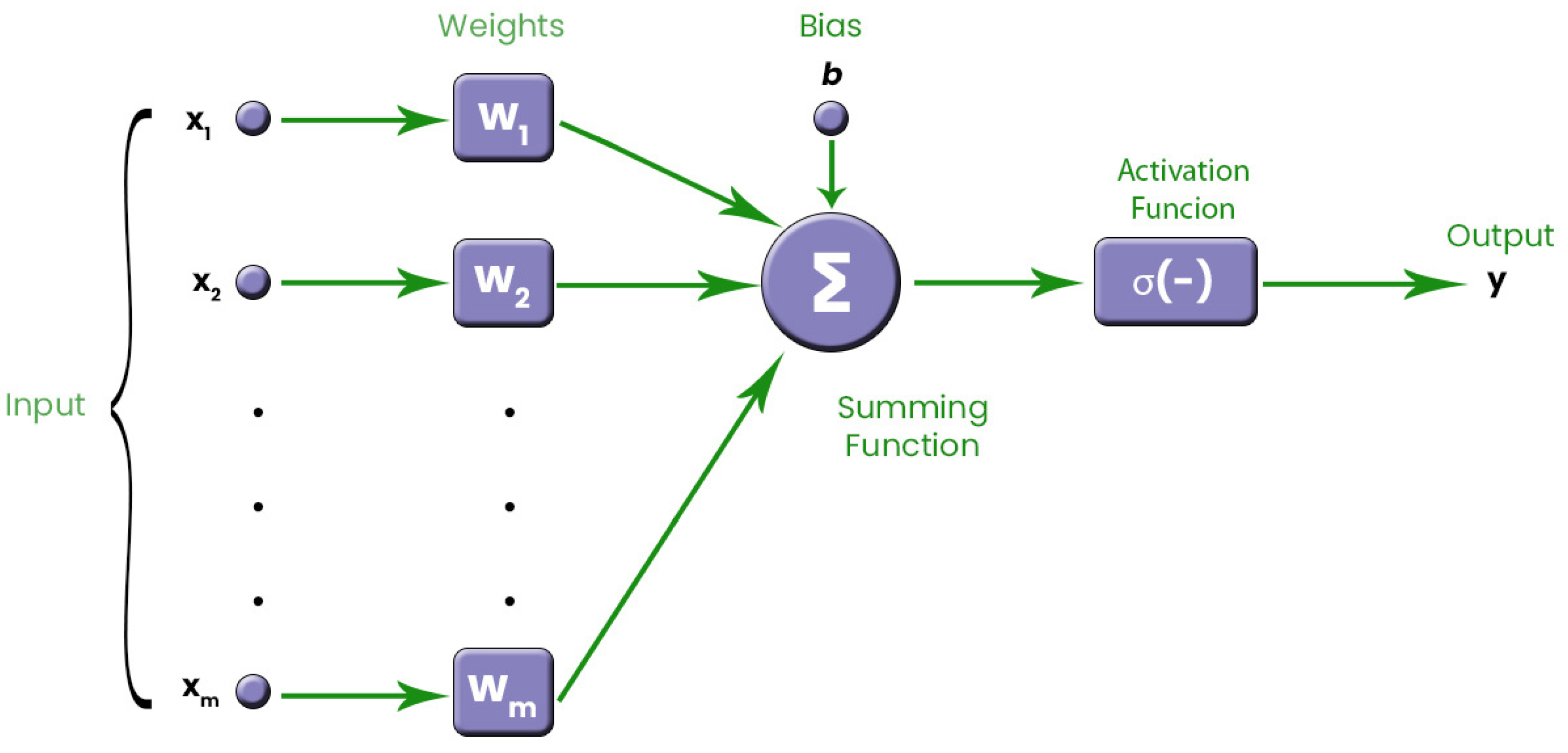 Biomimetics 08 00402 g001