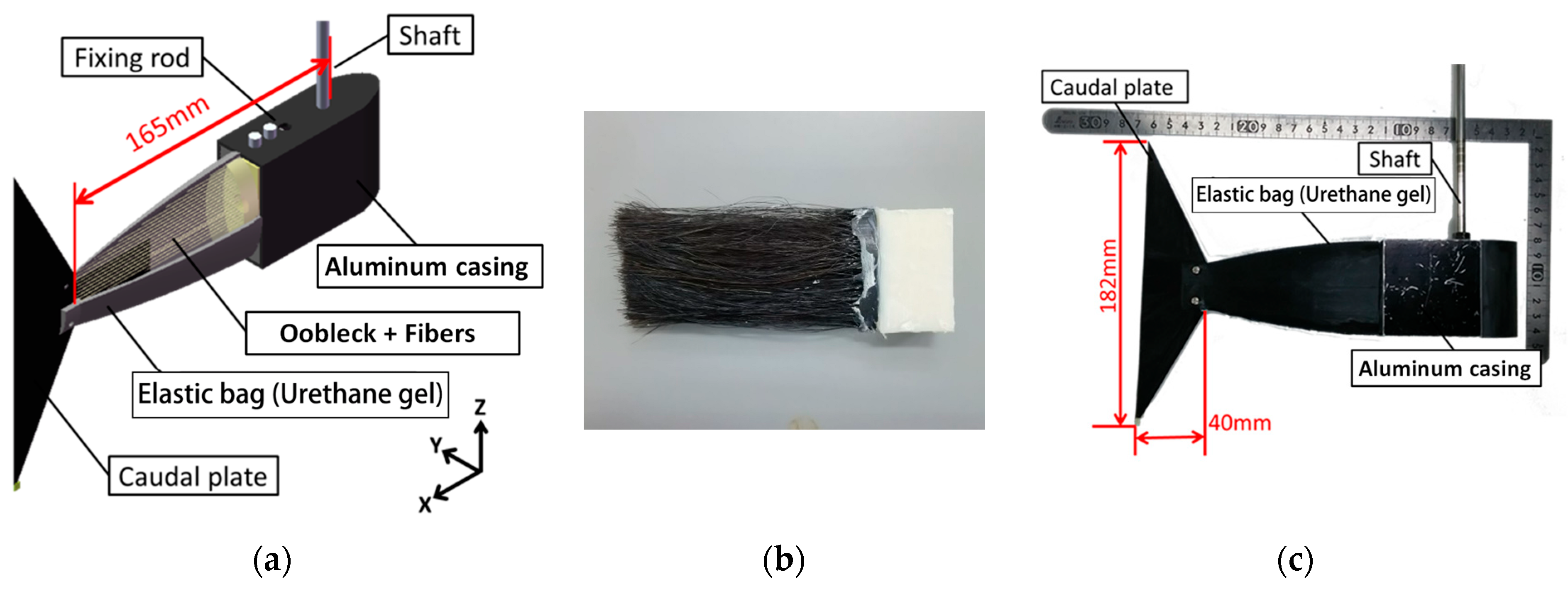 Biomimetics 08 00405 g003