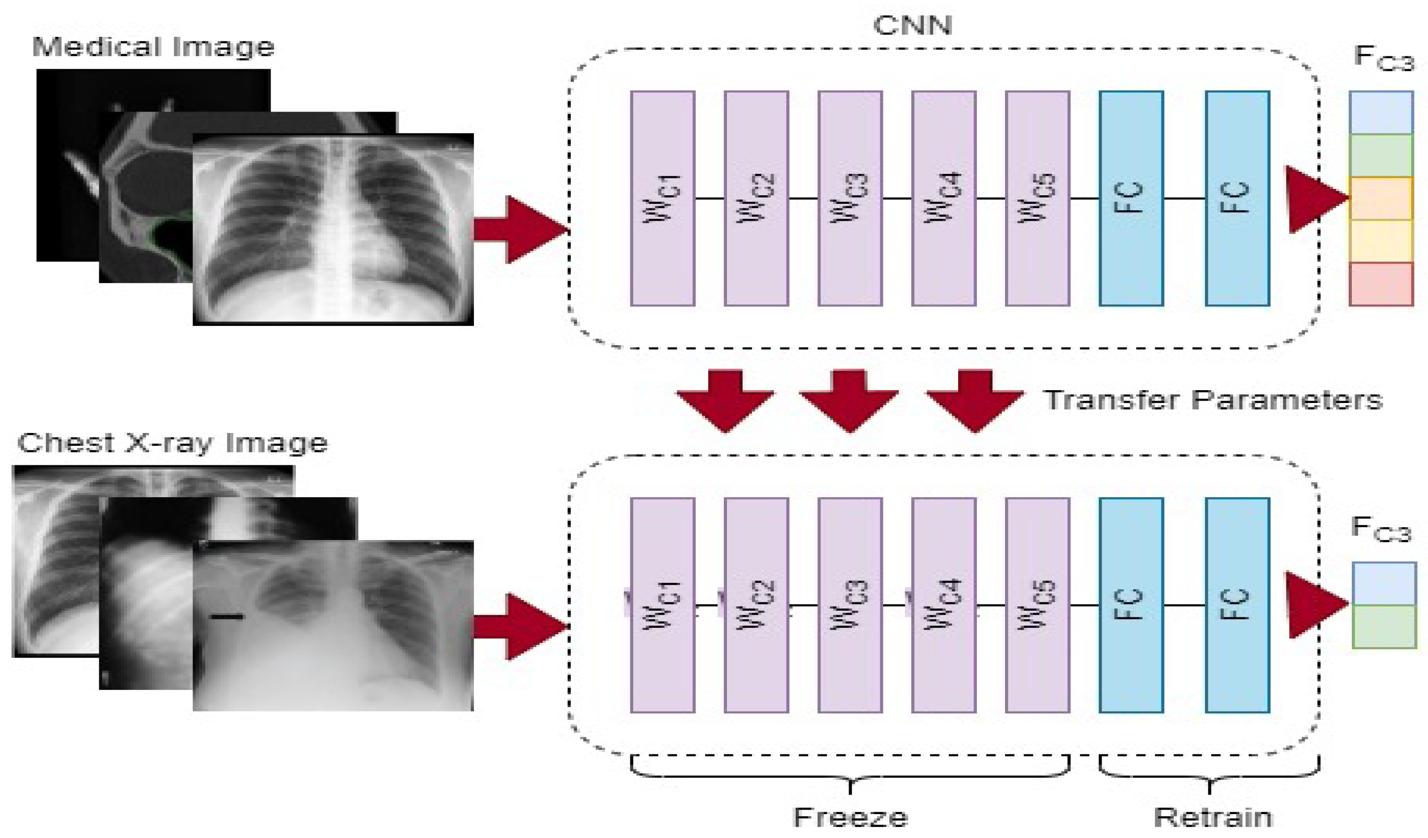 Biomimetics 08 00406 g001